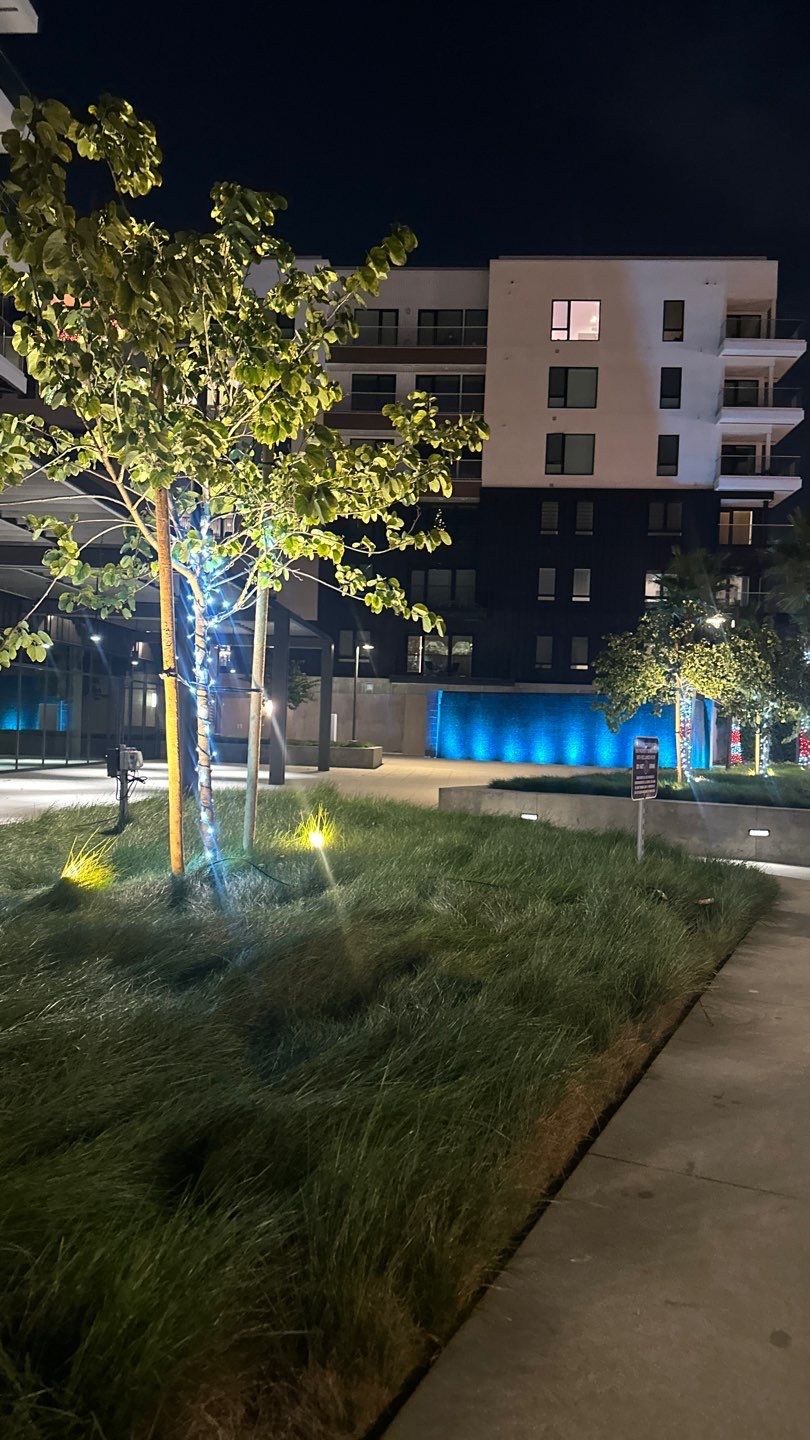 Newport HOA Holiday Lighting by Property Cleaning Experts, LLC
