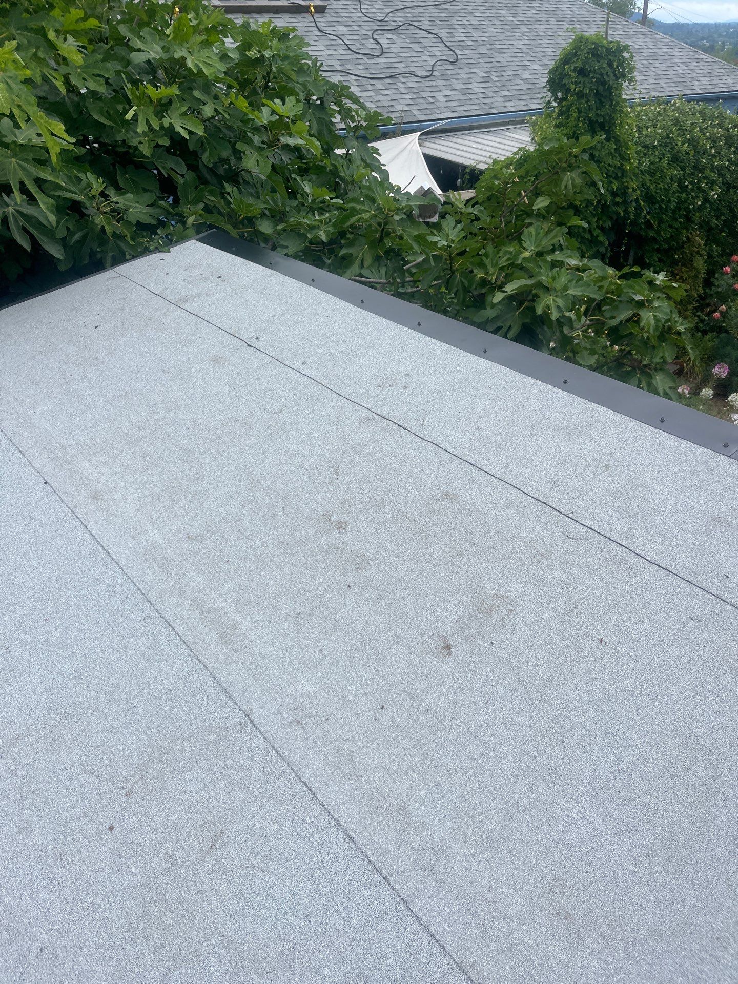 Project in Portland by Tom Leach Roofing
