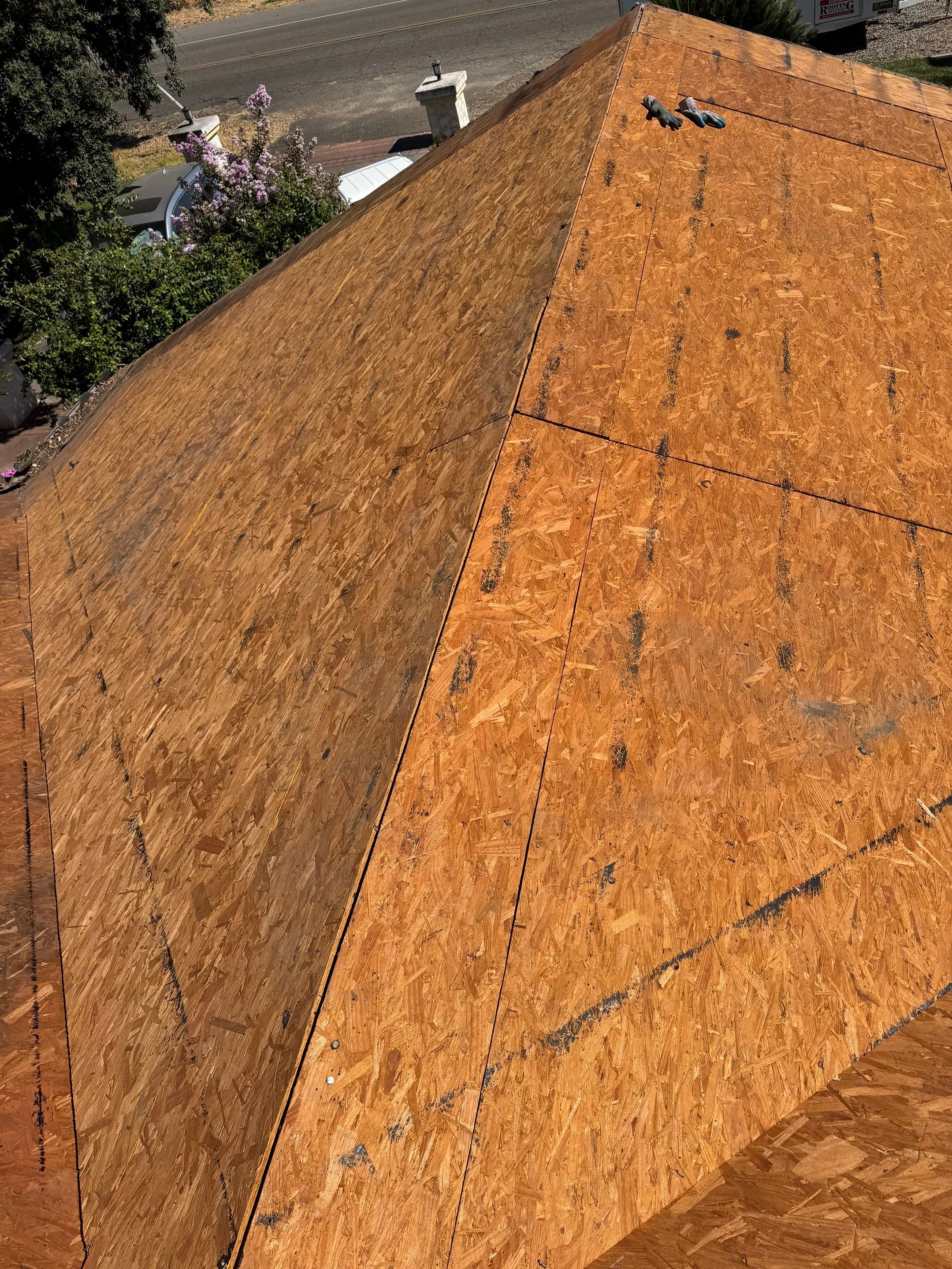 Presidential shingle roof by Straight Edge Roofing Inc