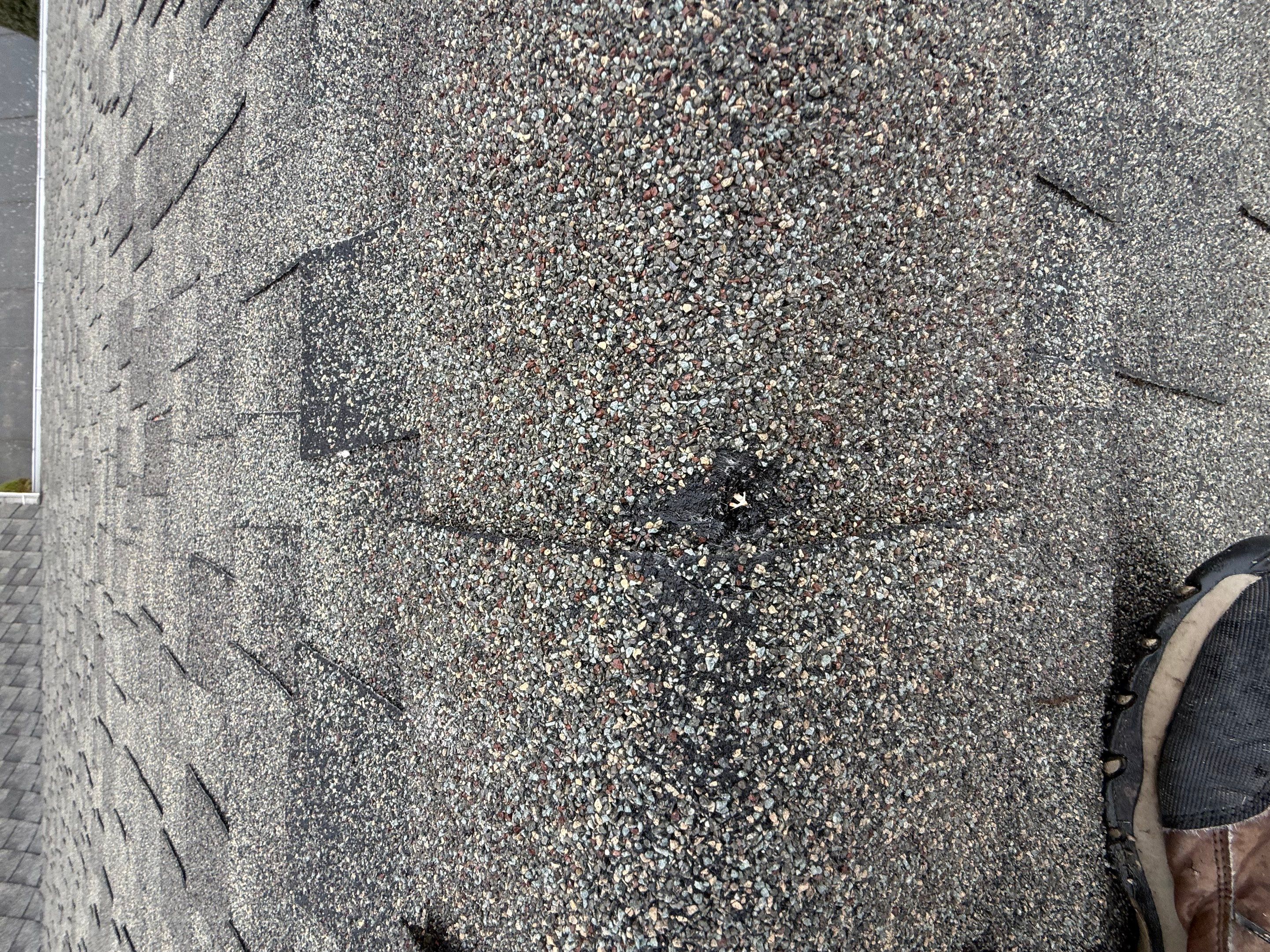 Roof Health Report • Eugene, OR by BEST Roofing & Waterproofing
