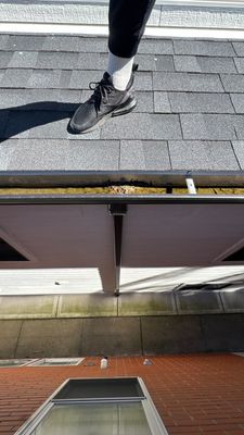 Why Northbrook Gutters Clog and Ice Up