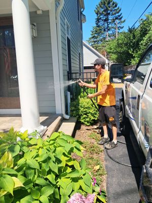 Highland Park, Brick paver cleaning sanding and sealing
