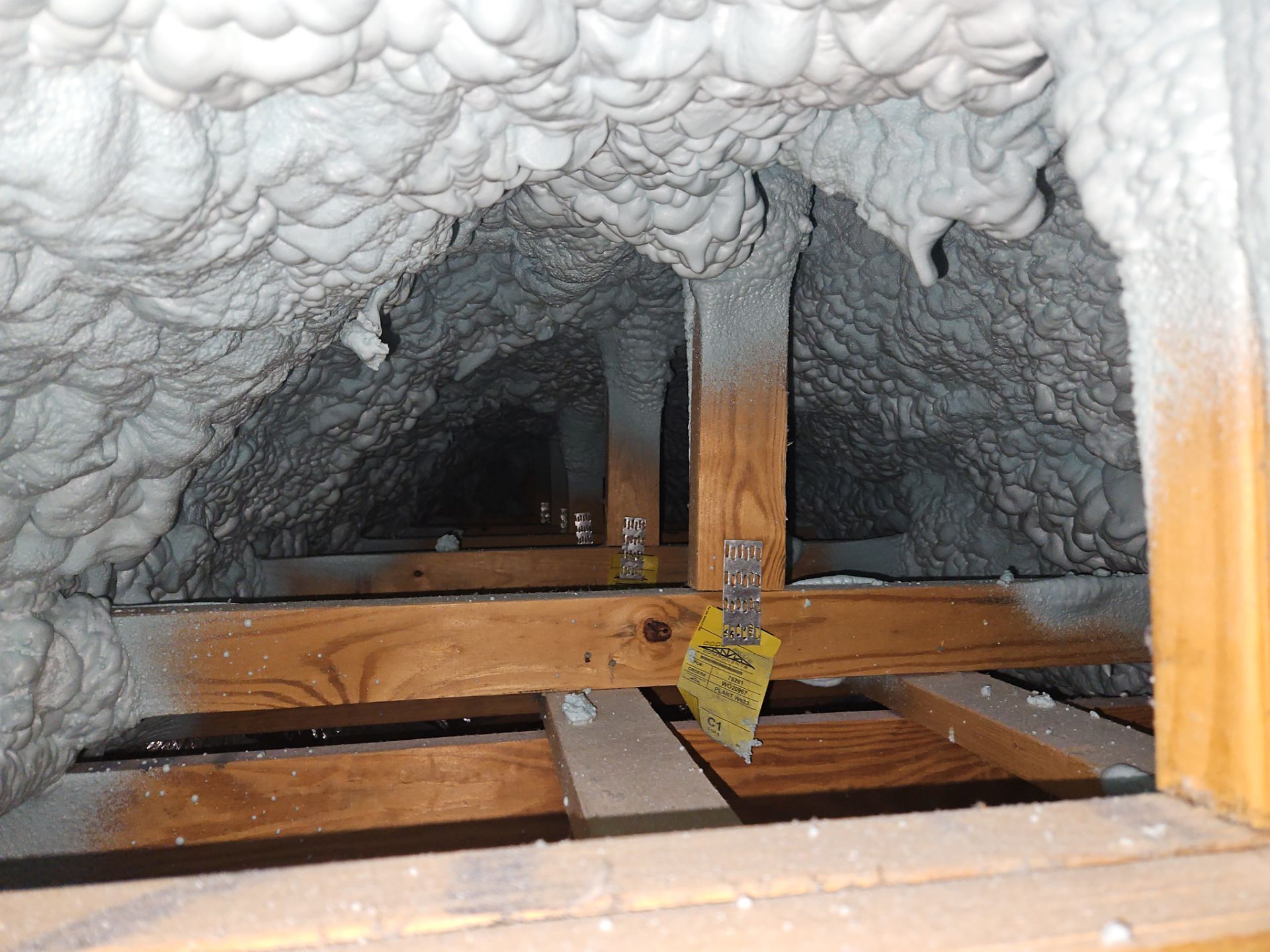 Project in Alexandria, VA by Founders Insulation