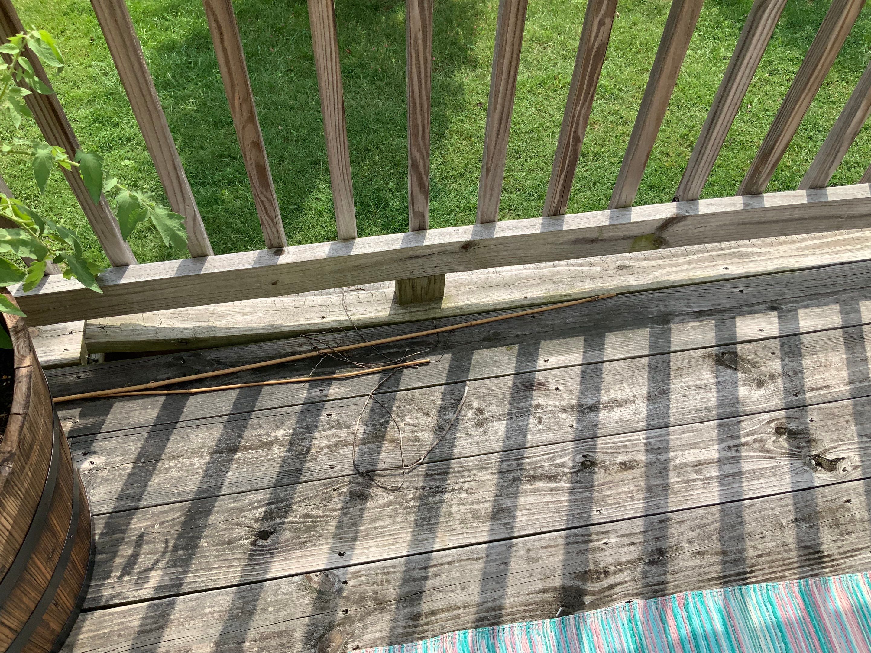 Deck Repair using Olympic Elite stains by Alpha Design Services