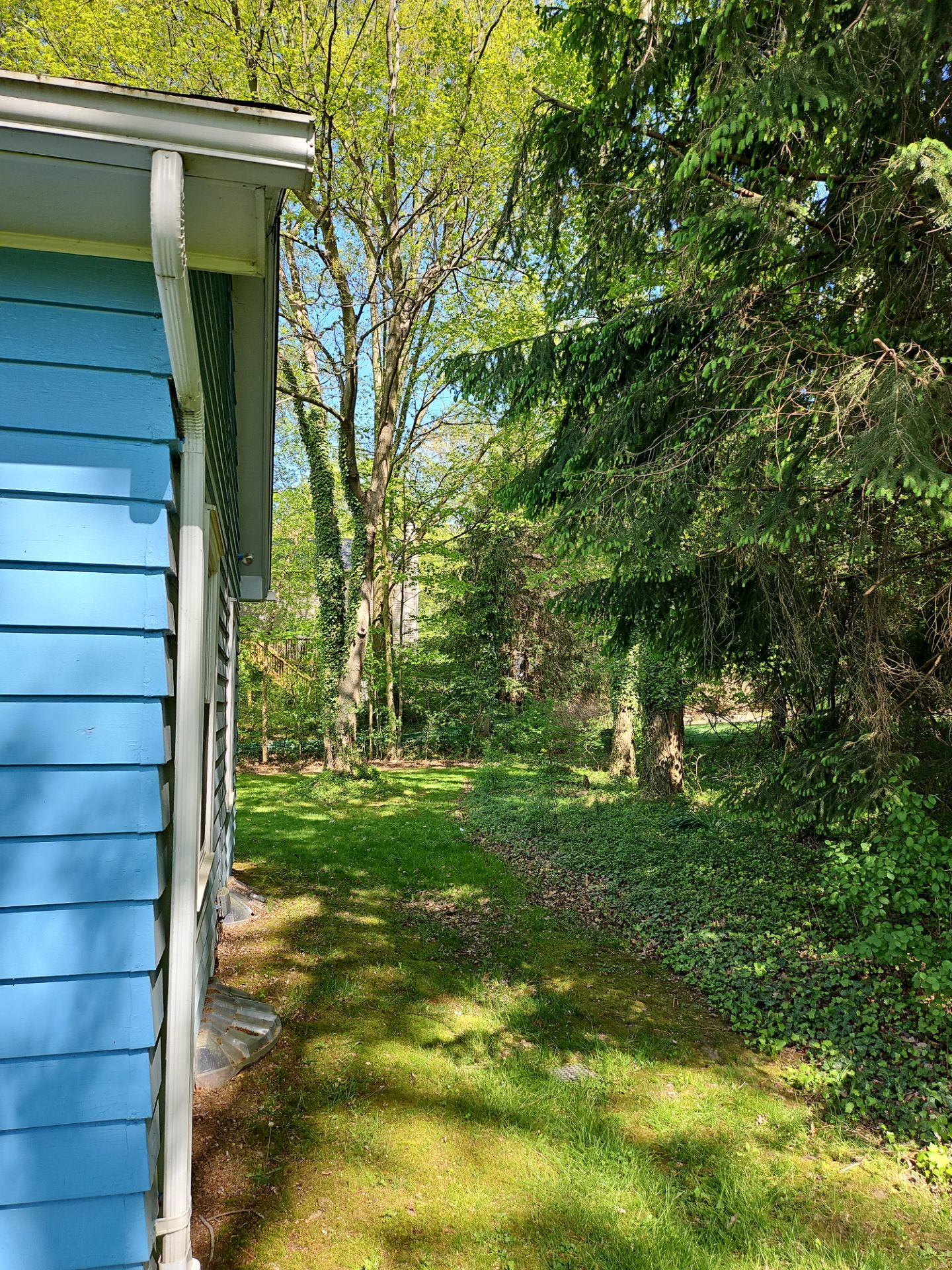 Tree Trimming using Tree Pruing by Mike Jones & Sons Tree Service LLC 