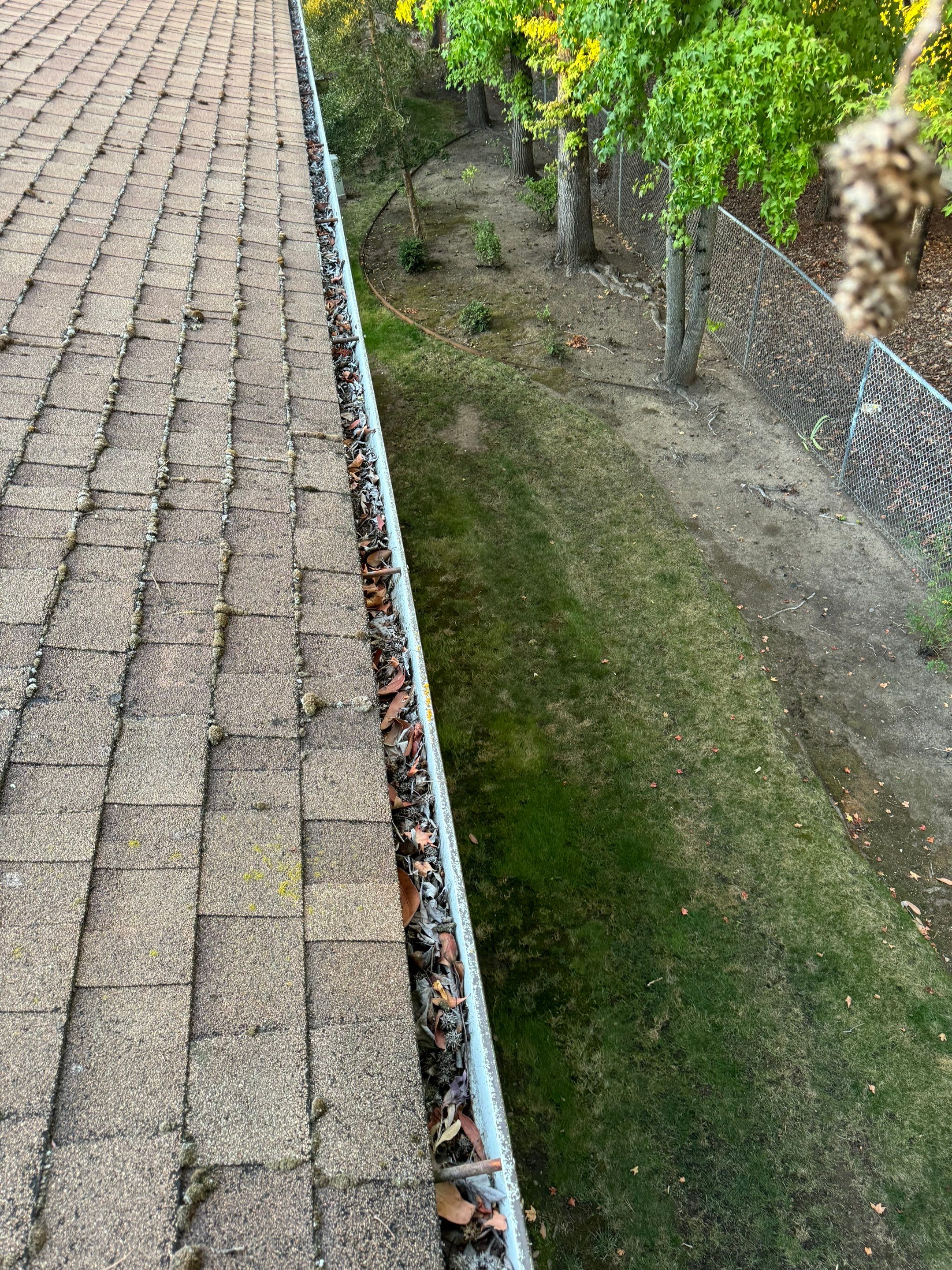 Commercial gutter cleaning Corvallis & Albany, before photo with filled gutters