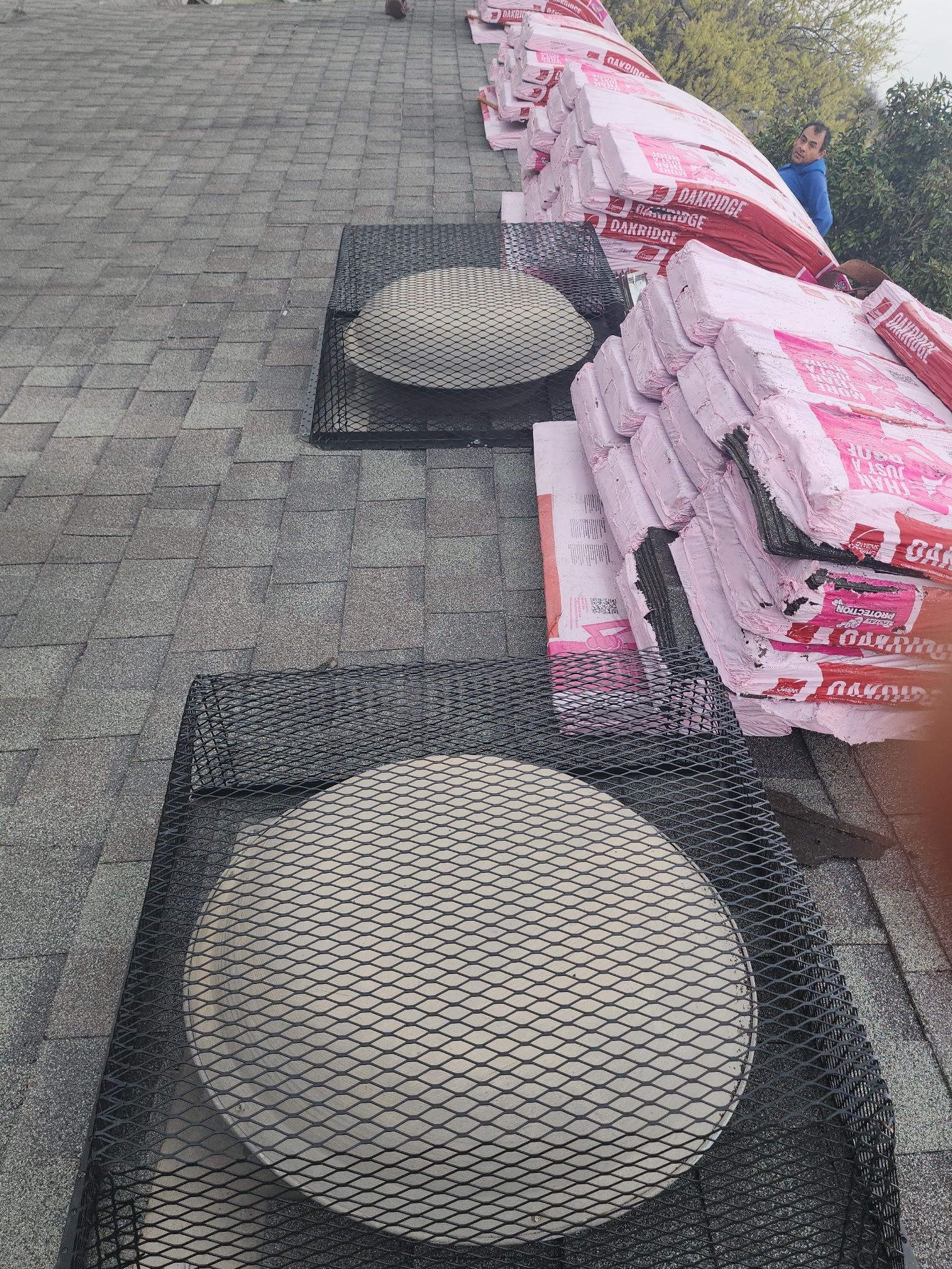 Tall, tall, tall by REPS OF TEXAS