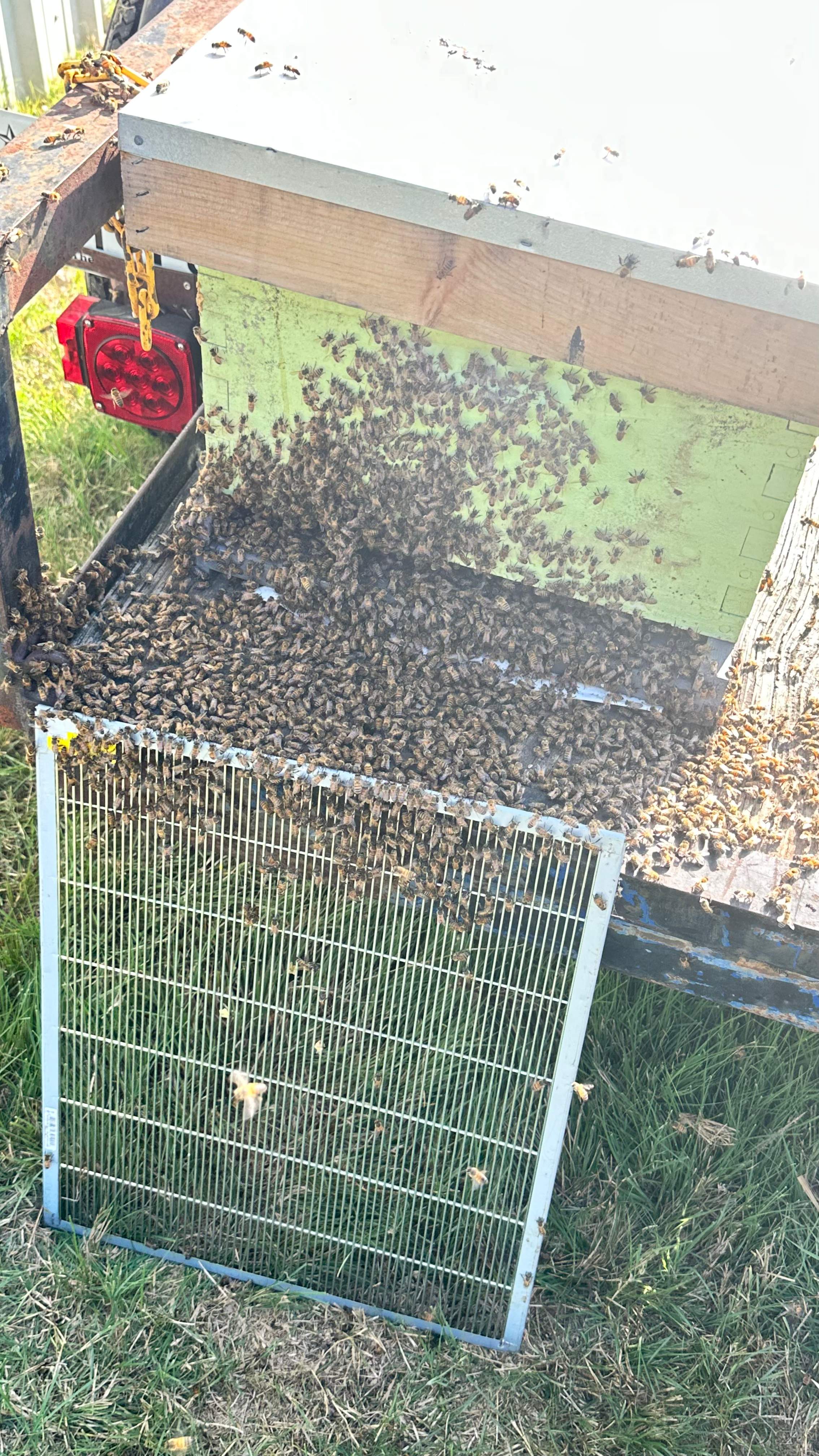 Composter by Rockwall Honey Bee Company