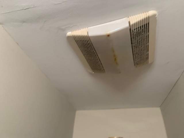 Ceiling & Shower Repair by A1 NERDY HOMES LLC