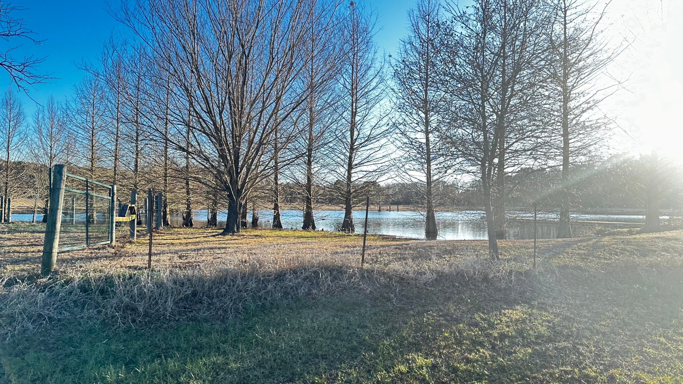 BeeGirl ETX HQ by Rockwall Honey Bee Company