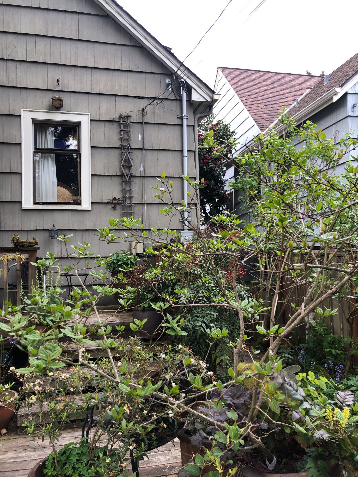 Project in Seattle by Peaks and Valleys Construction