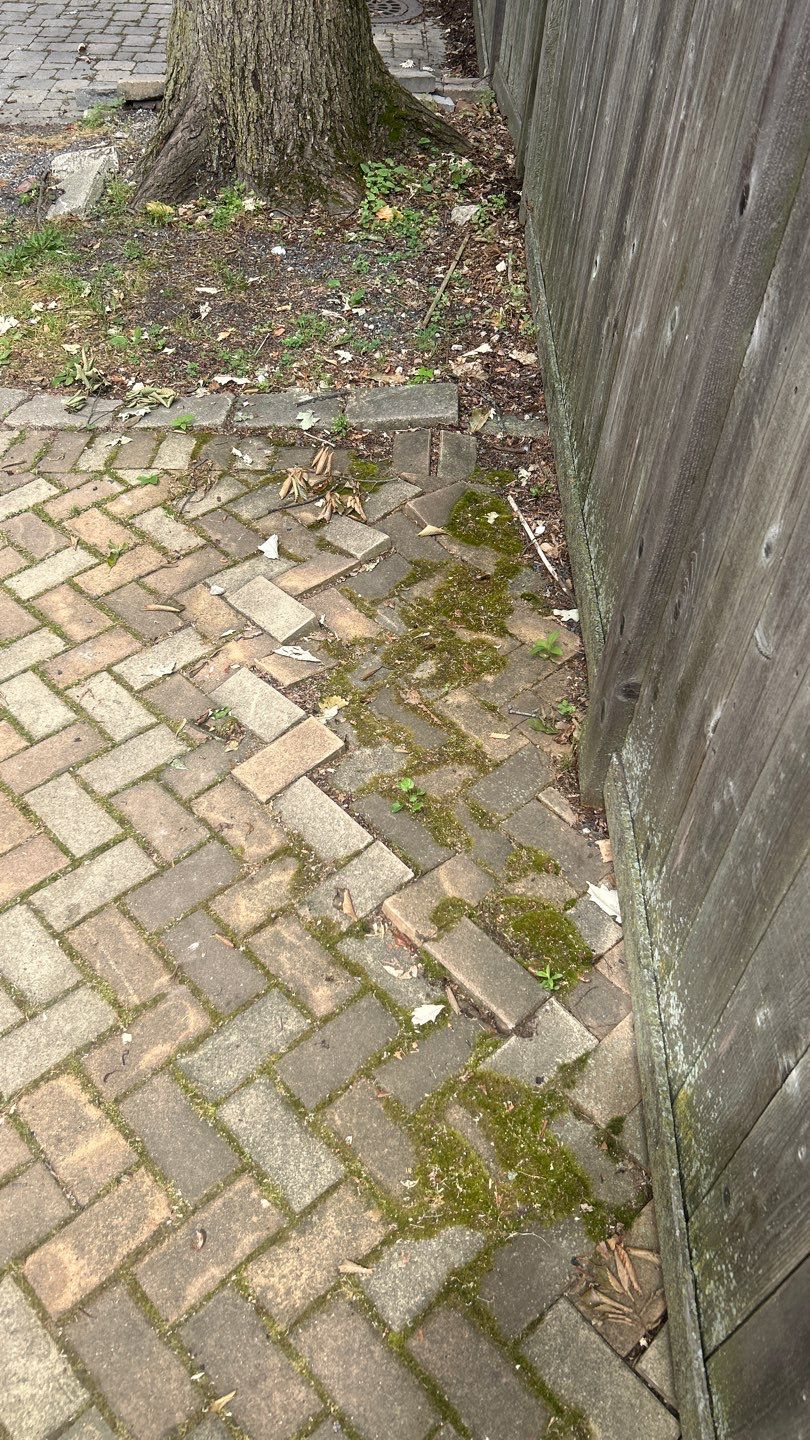 brick paver repair  using Structure bond Techniseal by Northern Power Washing LLC.