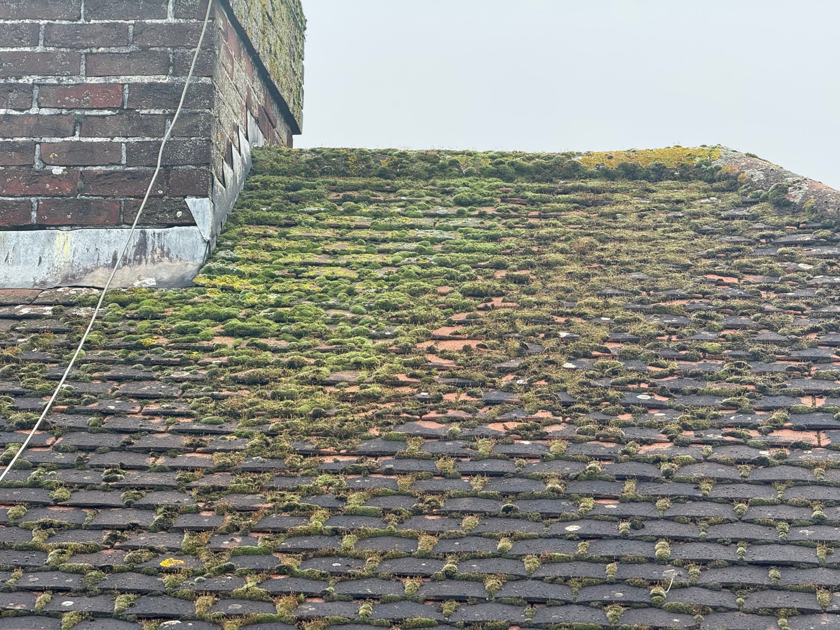 Roof Clean Epsom by Ges Exterior Cleaning ltd