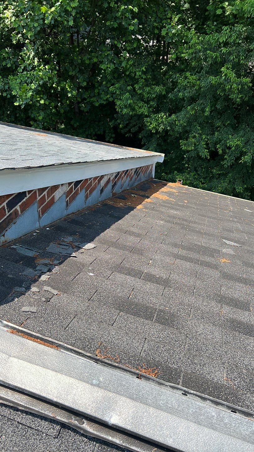 Reston: CertainTeed Landmark Pro Architectural Shingles in Max Def Moire Black by RM Banning, Inc.