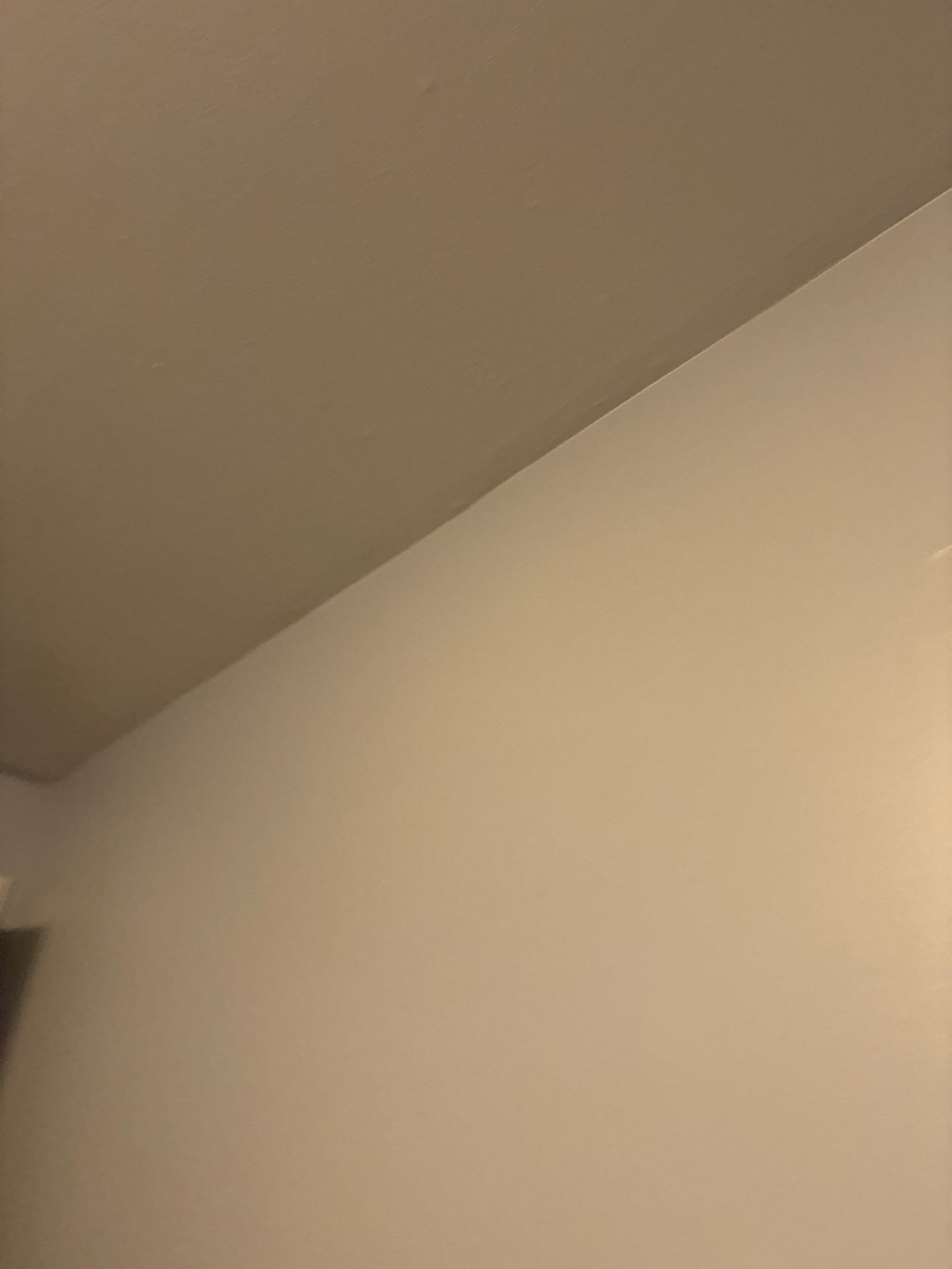Residential Ceiling Lighting and Electrical Upgrades in Denver by CompanyCam Sales Demo