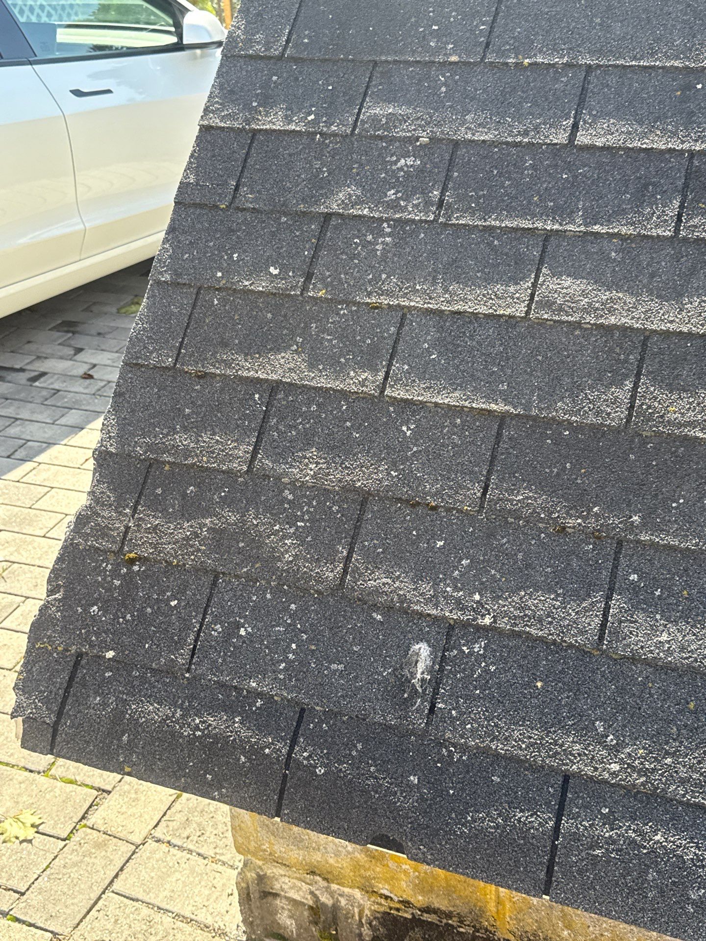 Garage & Shed Roof Replacement | Maynard, MA by Mighty Dog Roofing of Greater Middlesex County