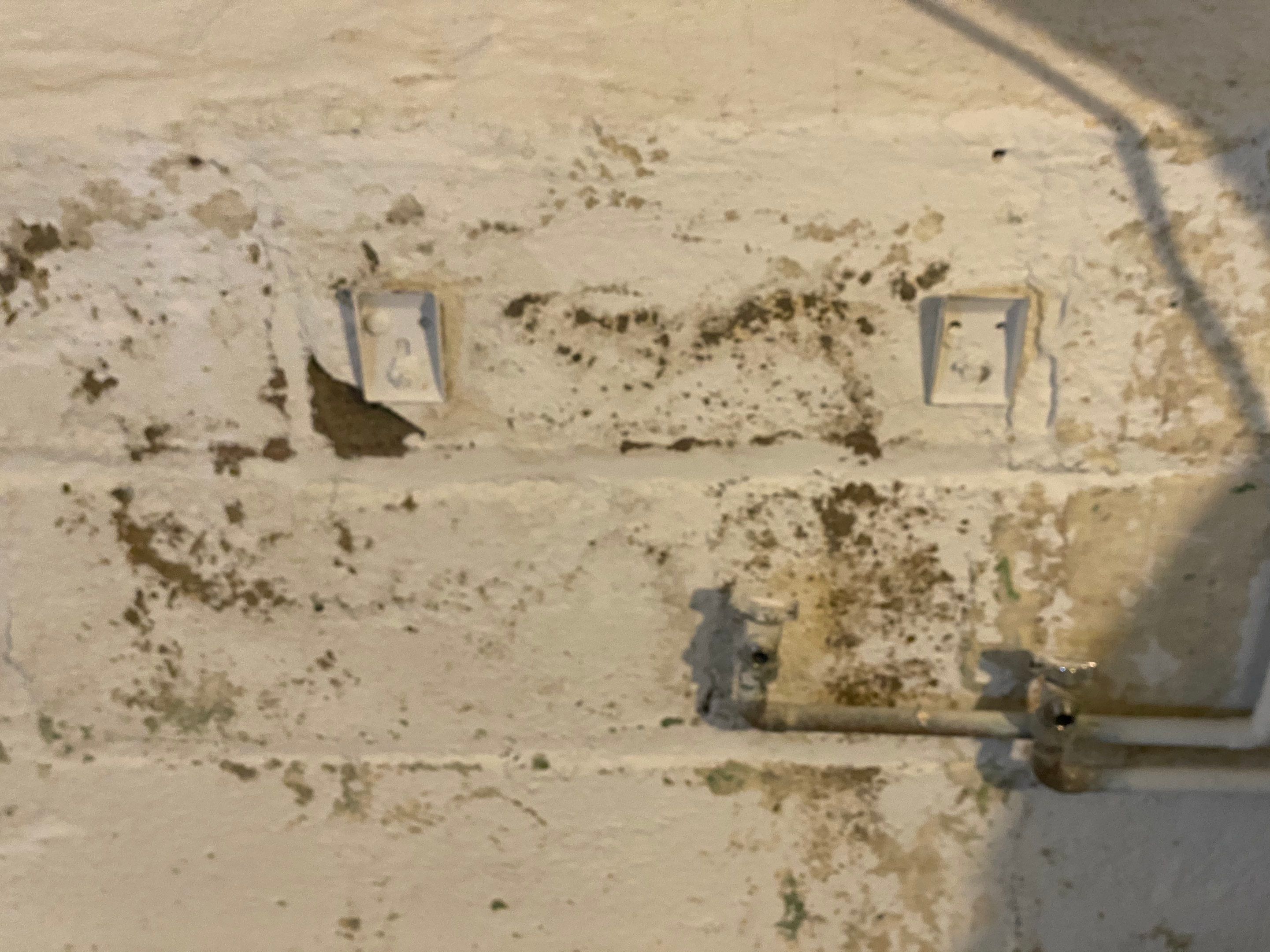 Interior French Drain Job in Bloomfield, NJ by Pure Service Pro, LLC 