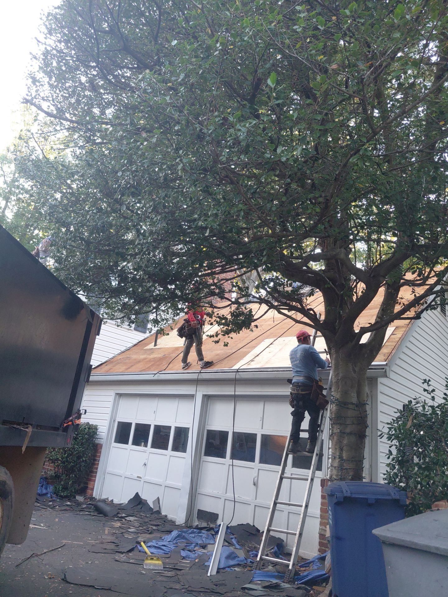 Falls Church: Residential Roof Replacement with CertainTeed Landmark in Moire Black  by RM Banning, Inc.