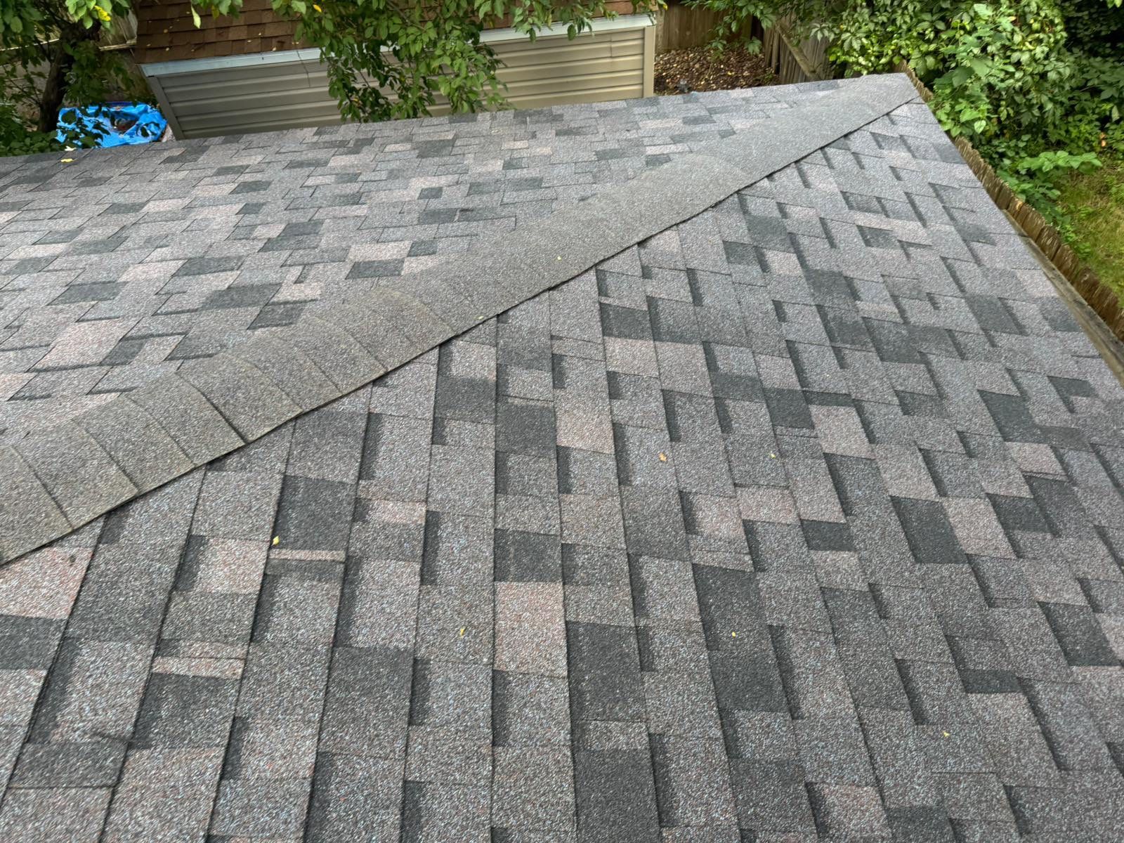 OC Duration Designer AR - Midnight Plum by Forever Fortified