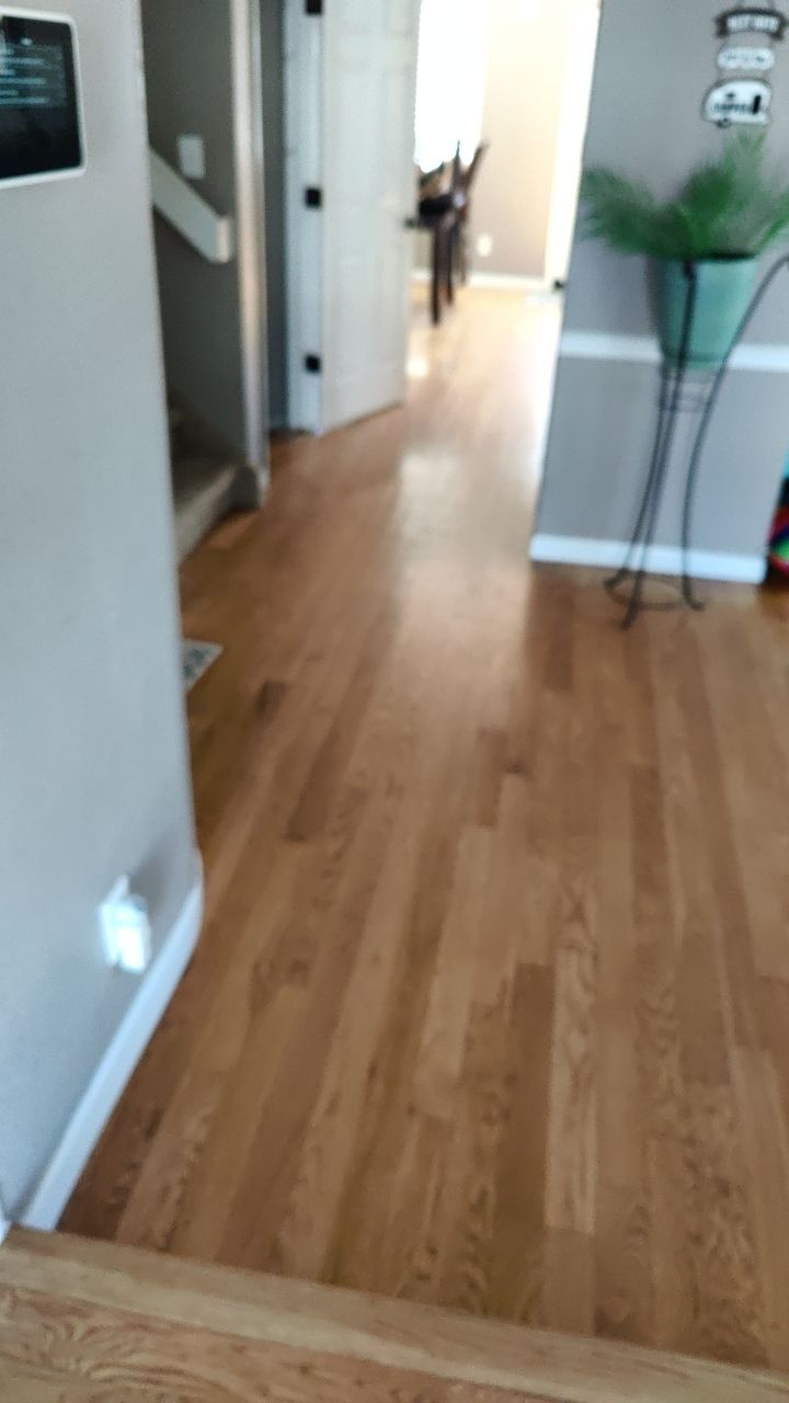 Water Damage by Accountable Home Services