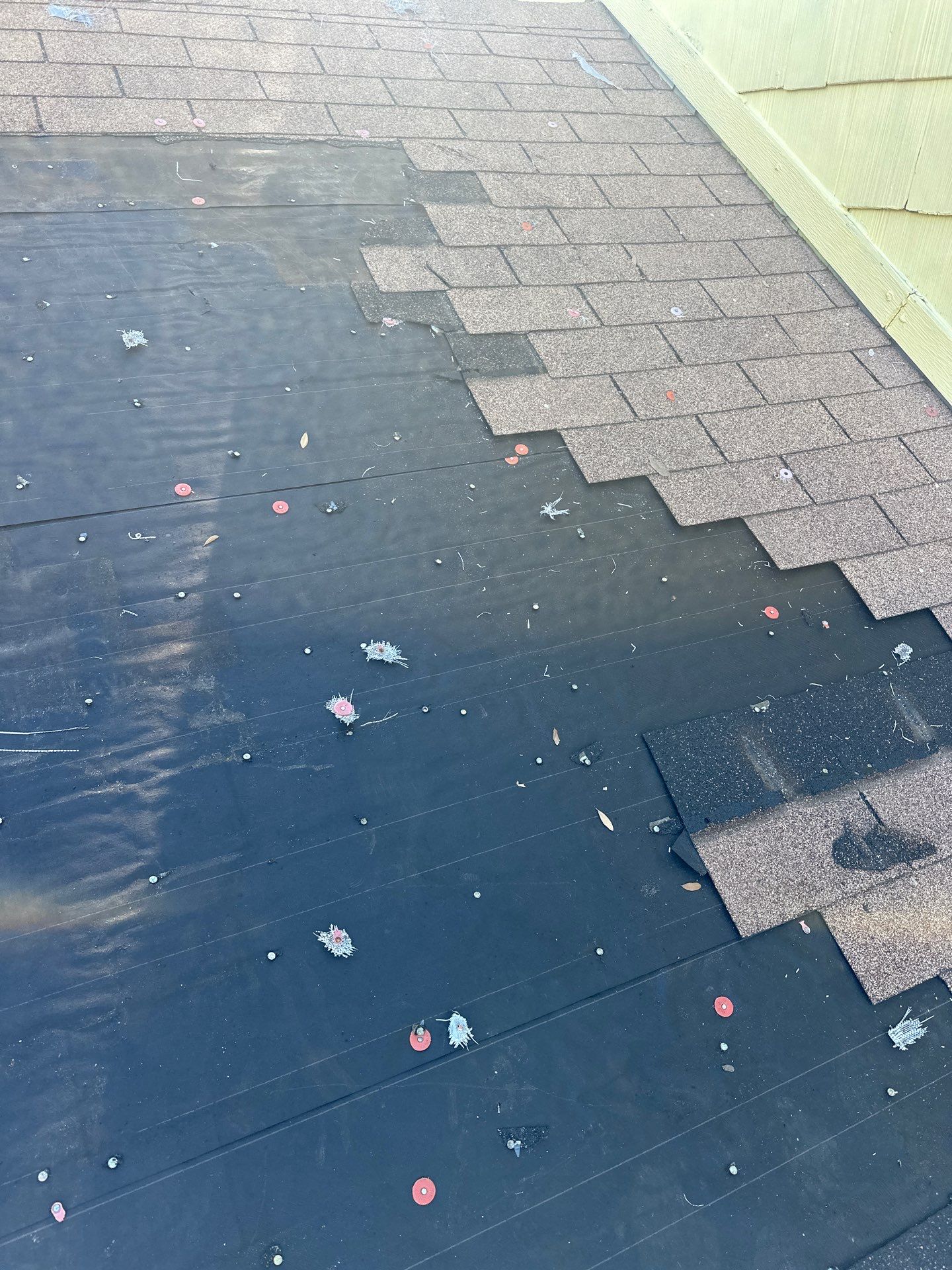 Project in The Colony  by Zeus Exteriors