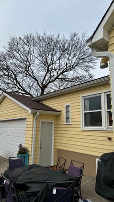 Why Bellwood Gutters Clog and Ice Up
