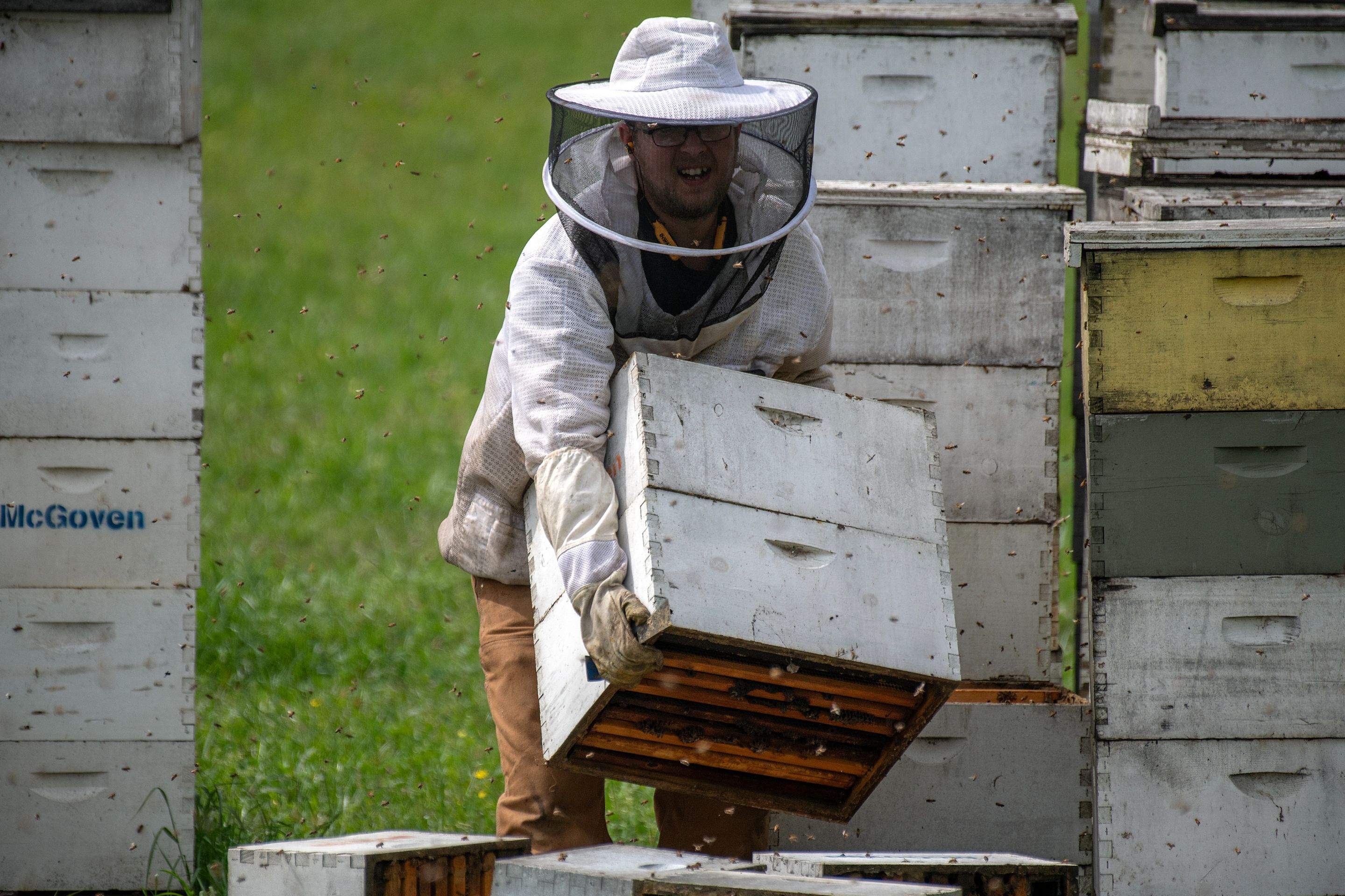 Splits in East Texas by Rockwall Honey Bee Company