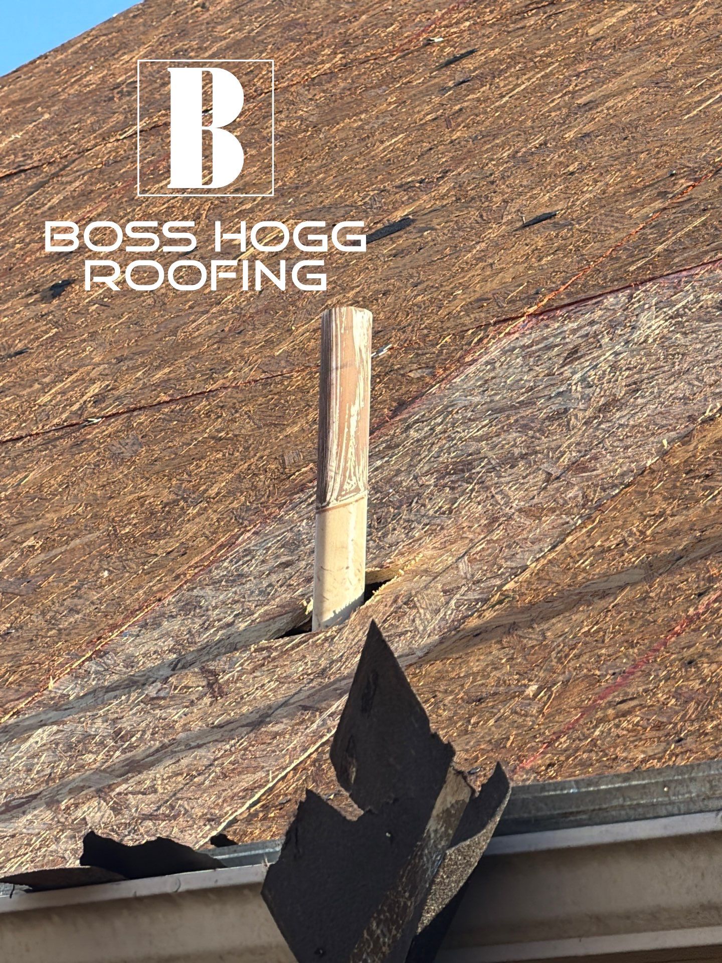 NOMI B. by Boss Hogg Roofing