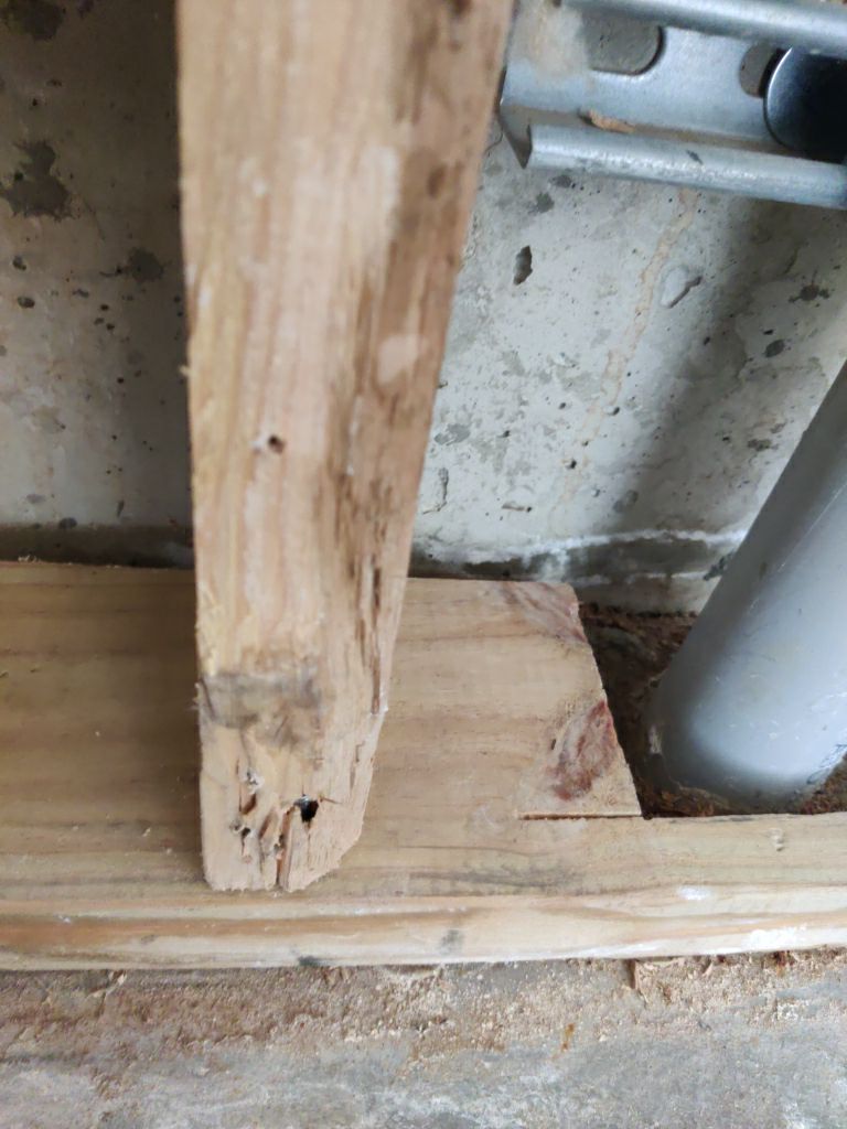 Mold Remediation in Garage by Accountable Home Services