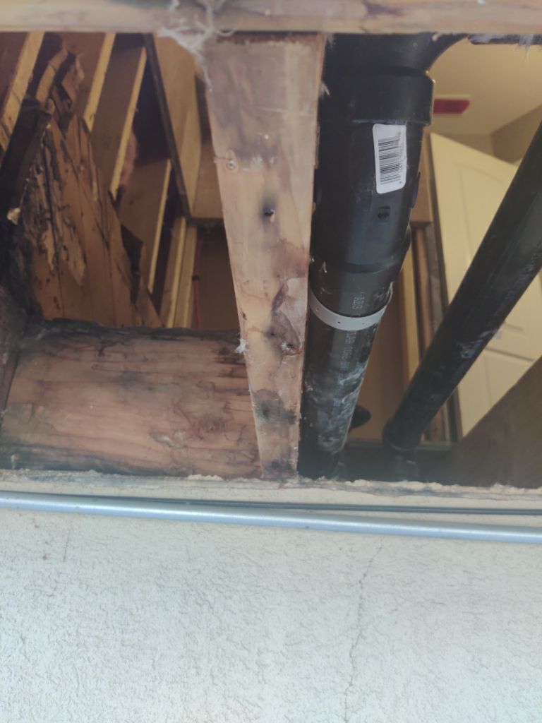 Mold Remediation in Bathroom by Accountable Home Services