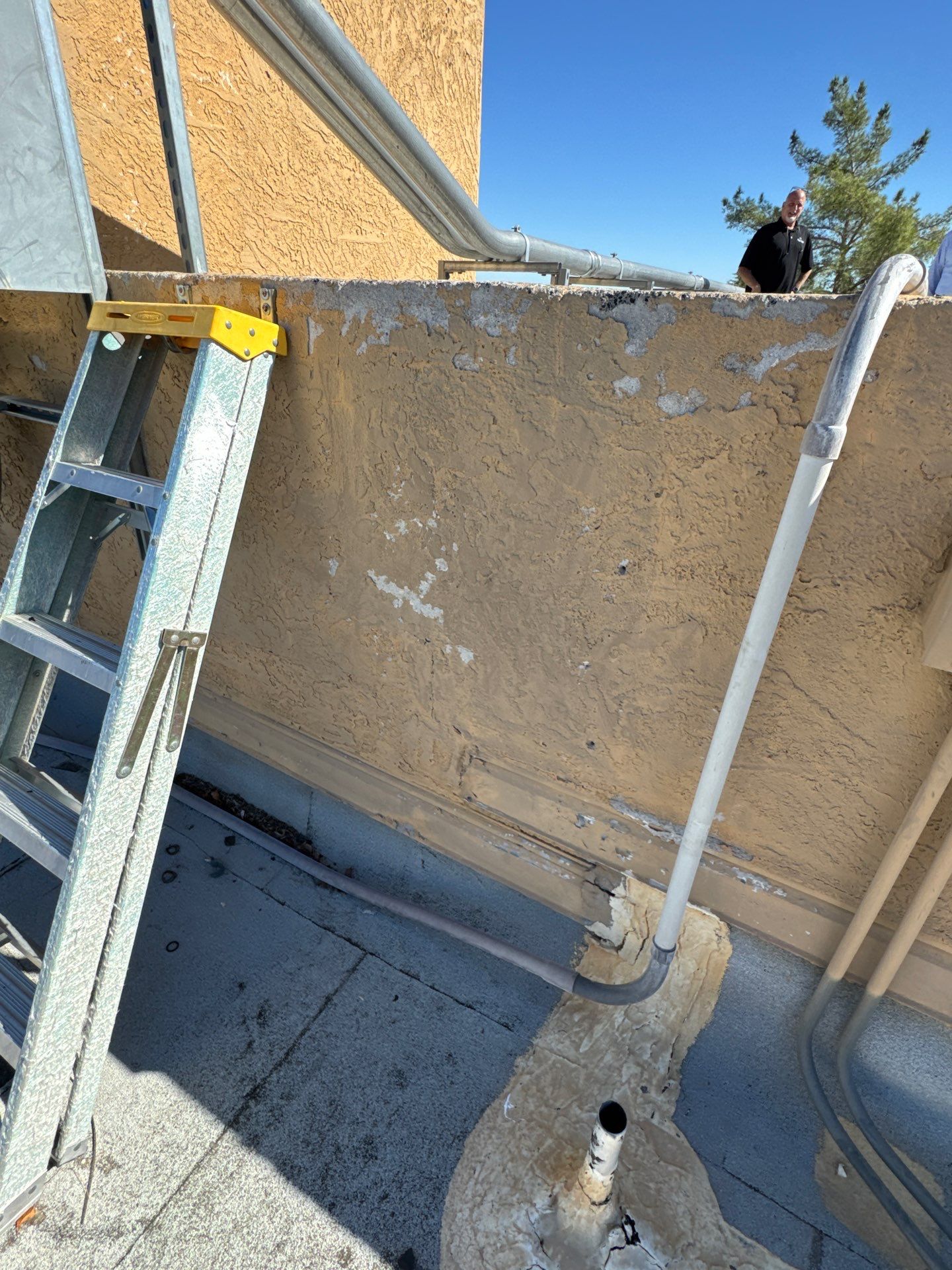 Project in Glendale by Crush Development Services LLC