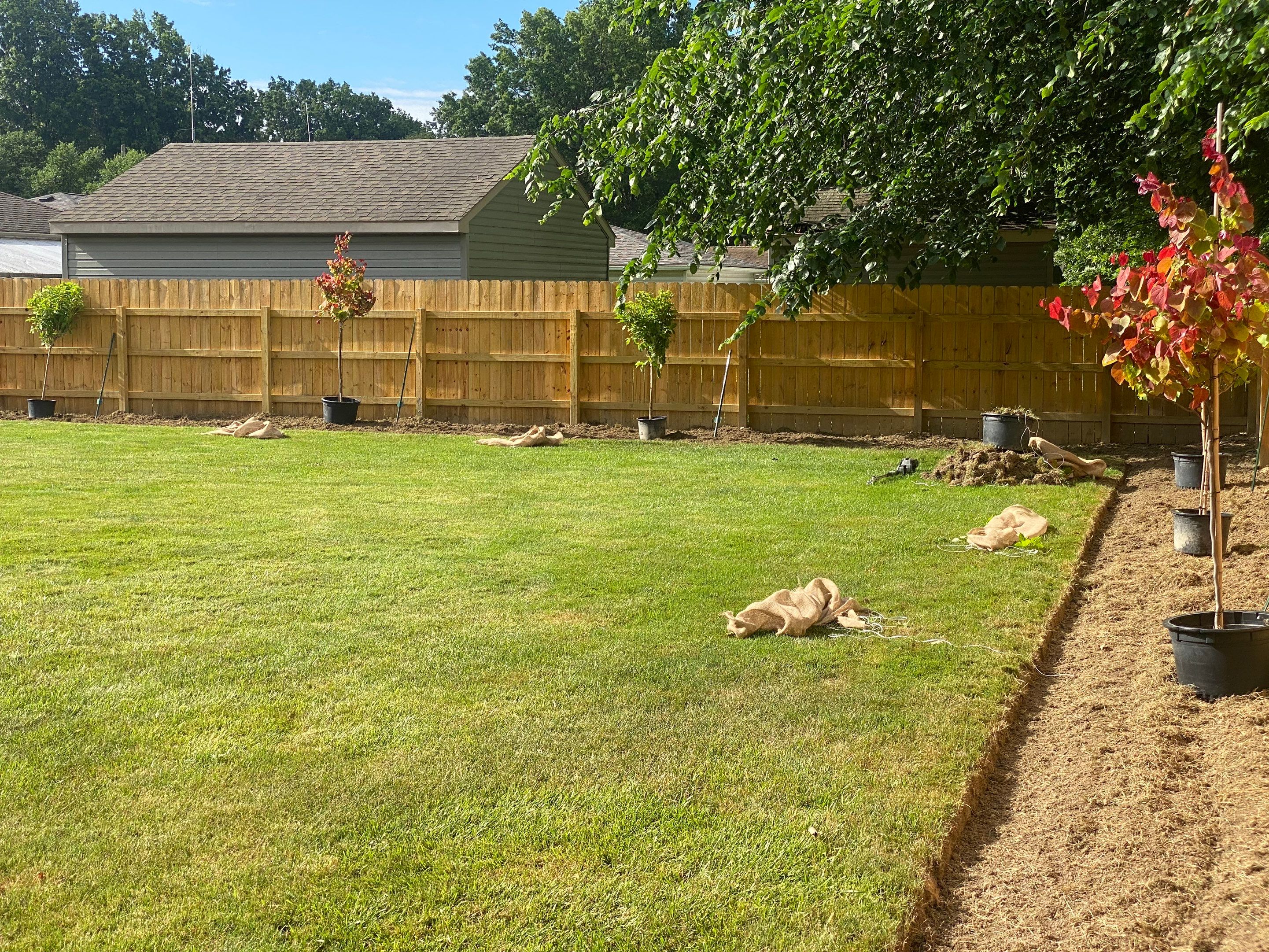 Redbud Fence Project  by Elm Rose Gardens