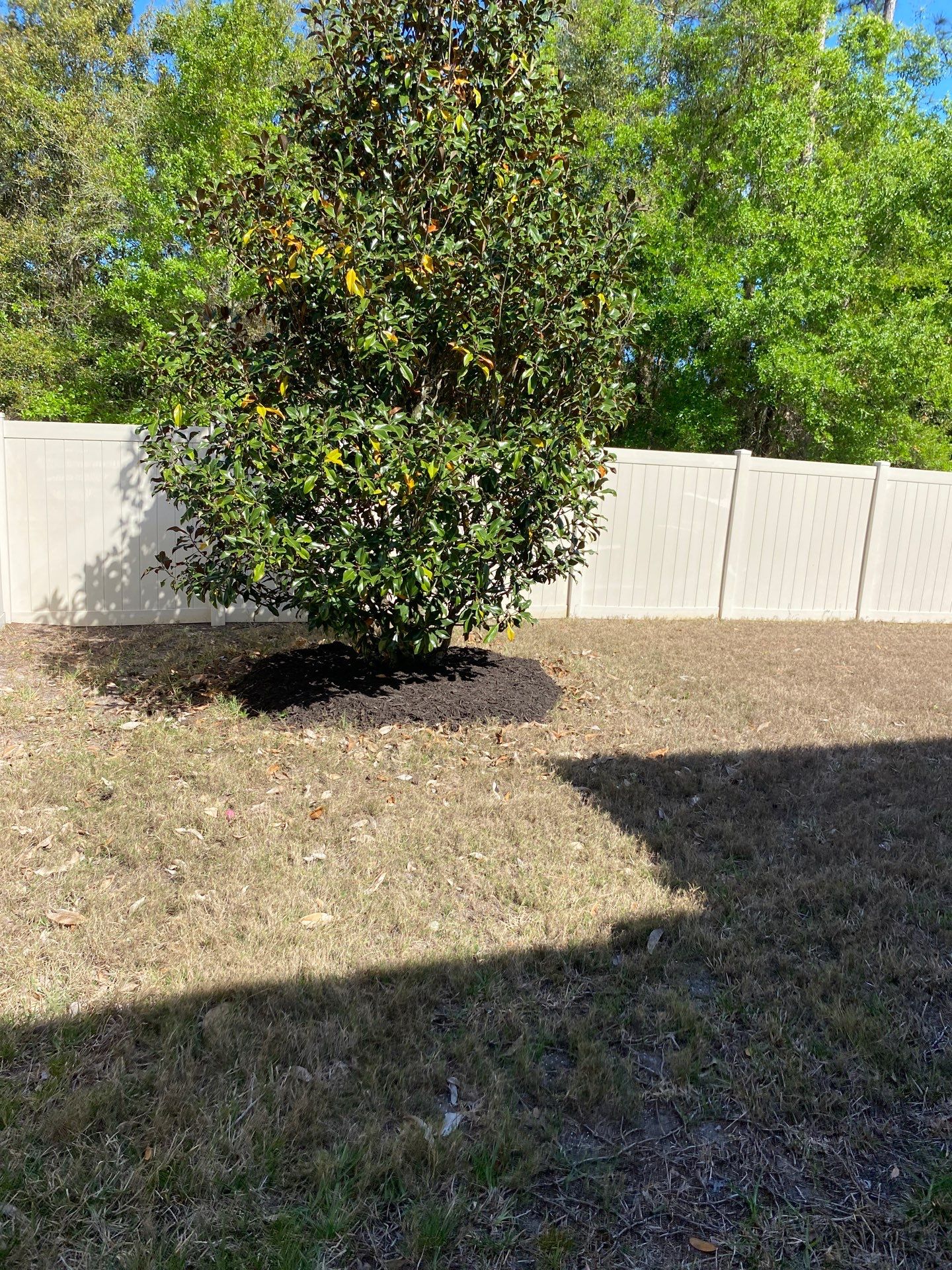 Residential | Mulch and Soil Installation by ProGreen Services