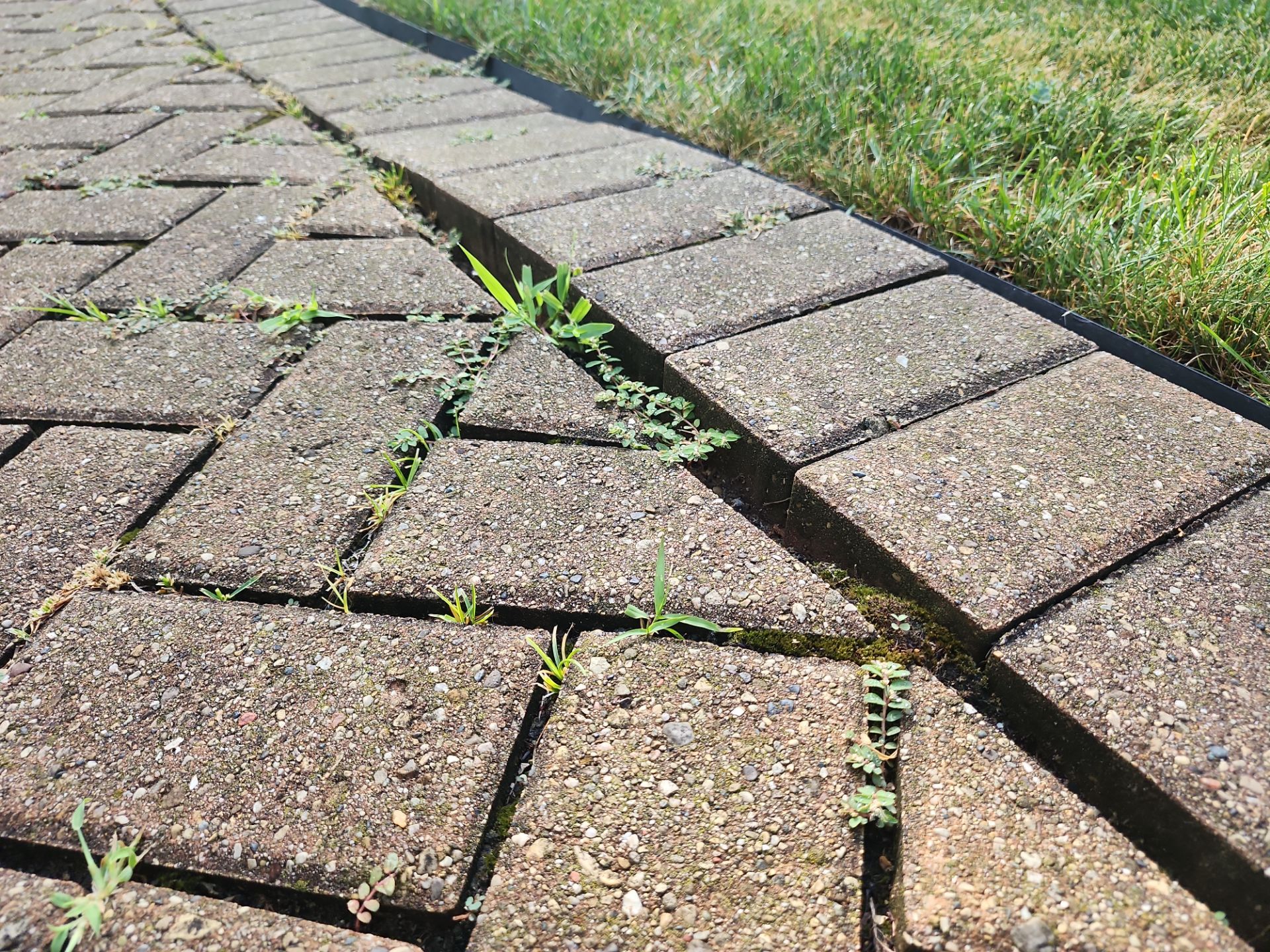 Arlington Heights Brick paver repair, cleaning and sealing by Northern Power Washing LLC.