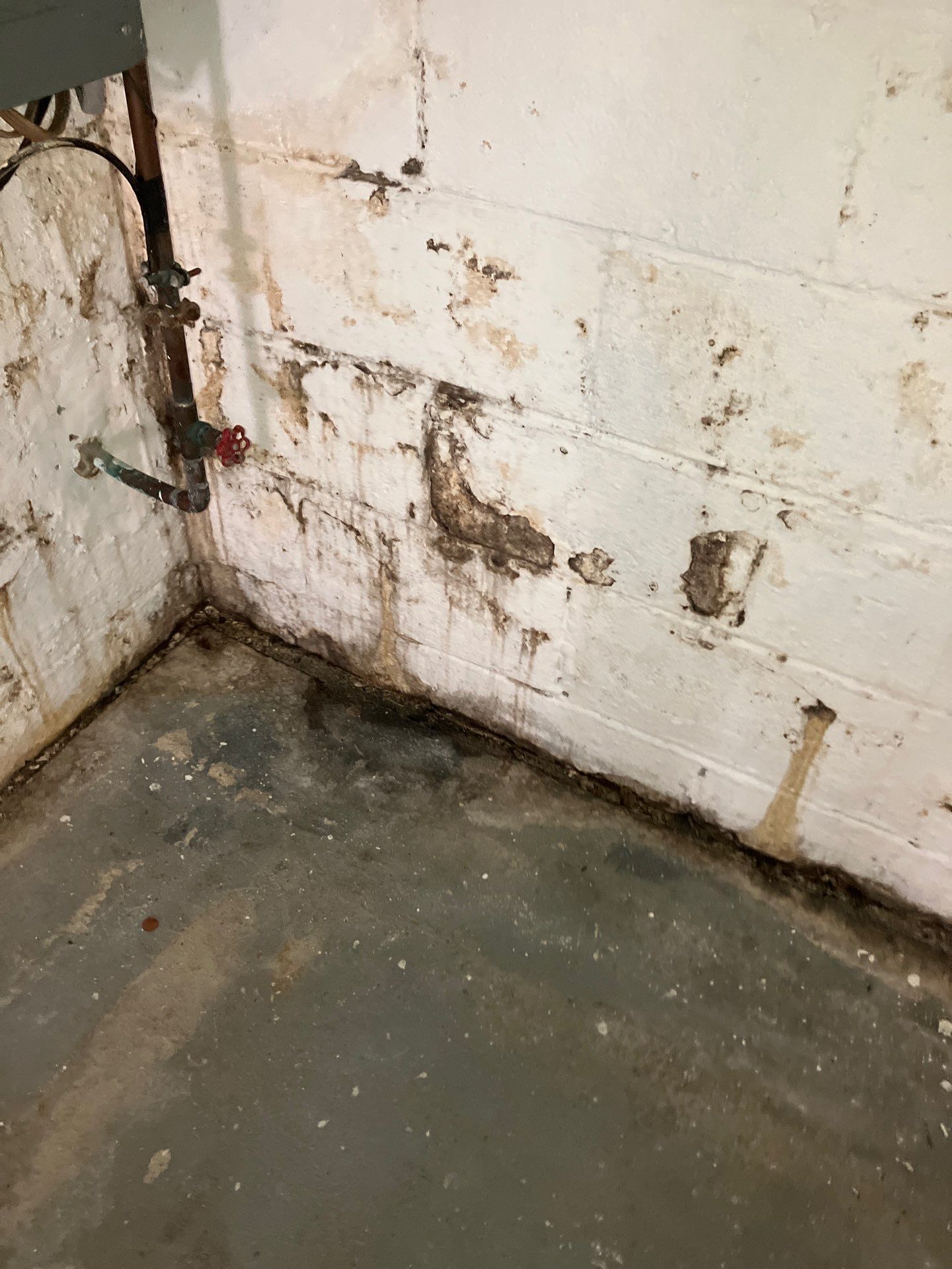 Utility Basement Mold Remediation and Sanitation Corner Case Study by Right On Time Restoration