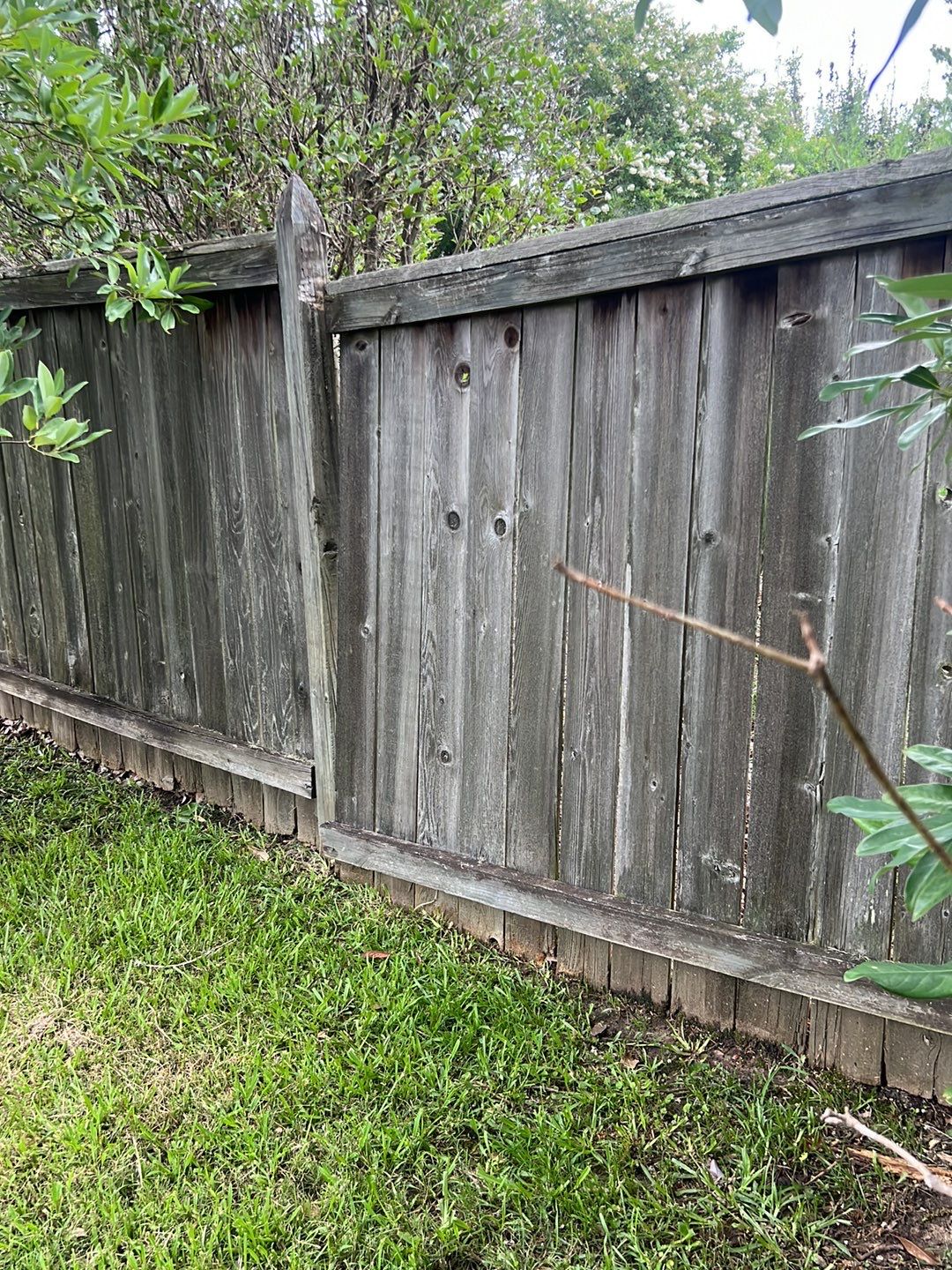 6ft Treated Pine Good Neighbor Fence French Gothic Posts by Roberson Construction LLC