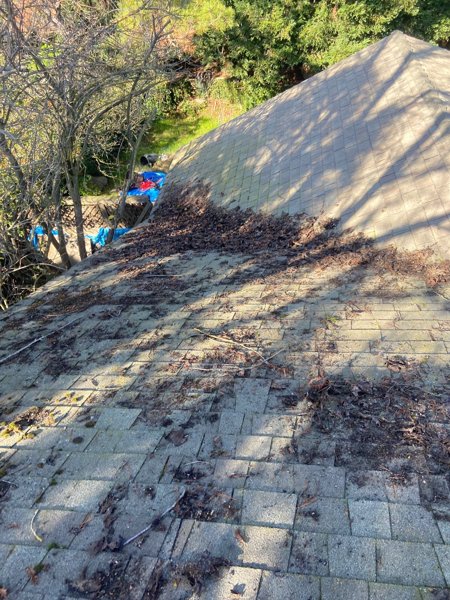 Roof Rejuvenation using Roof Maxx Treatment by Roof Maxx of Folsom