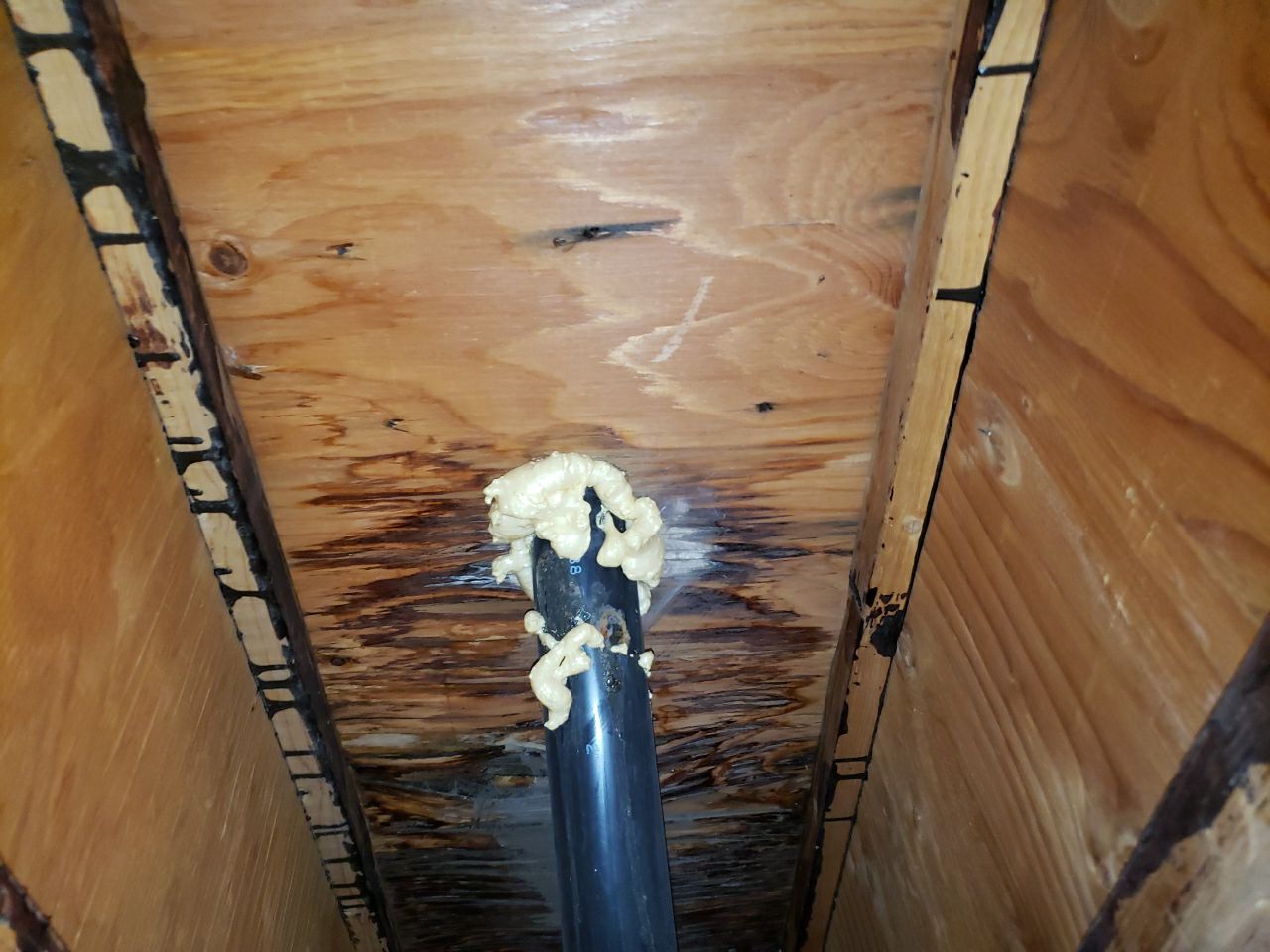 Residential Roofing Repair using Concrete Tile by The Roof Doctor