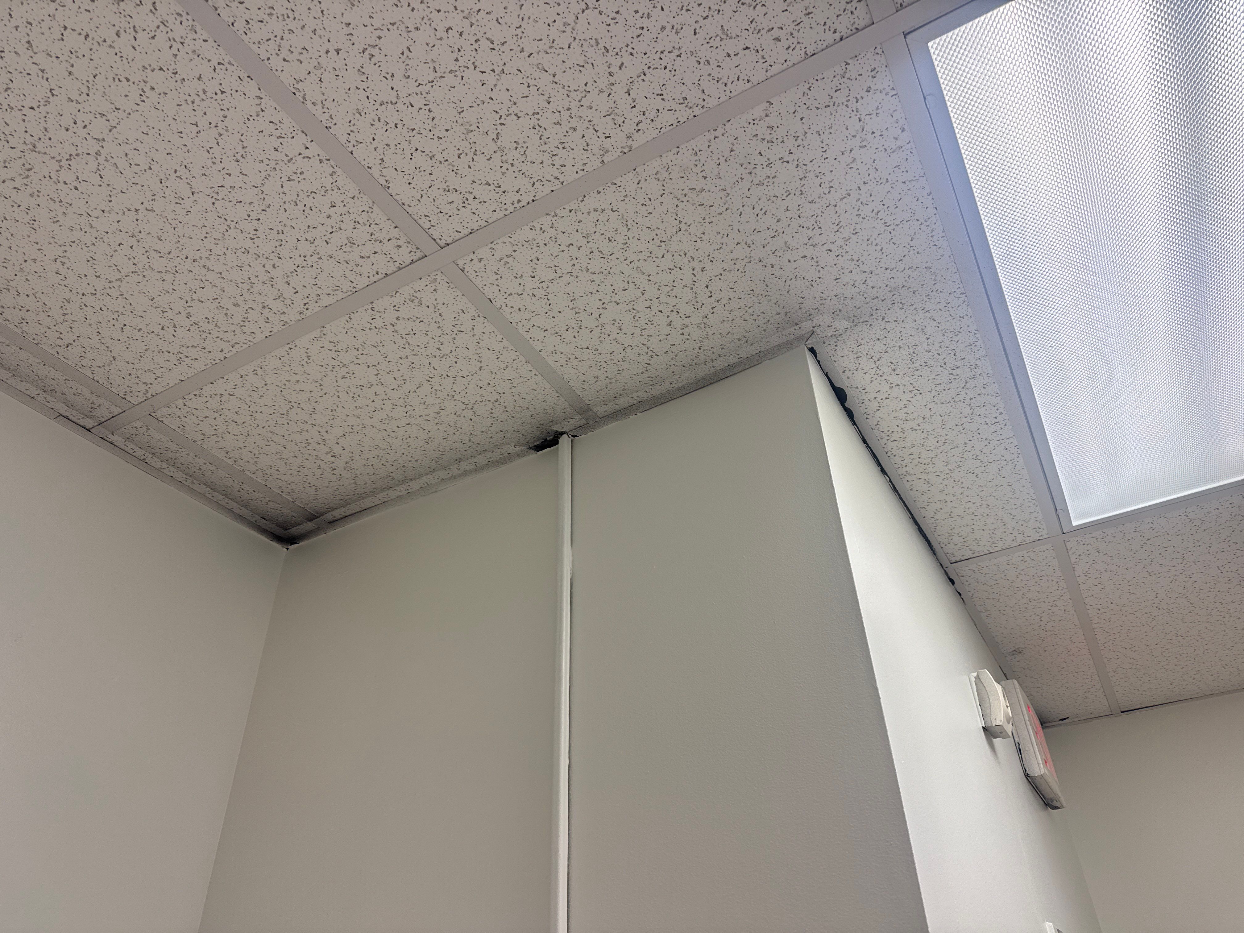 Repaint Walls in Commercial Unit by Midwest Paint LLC