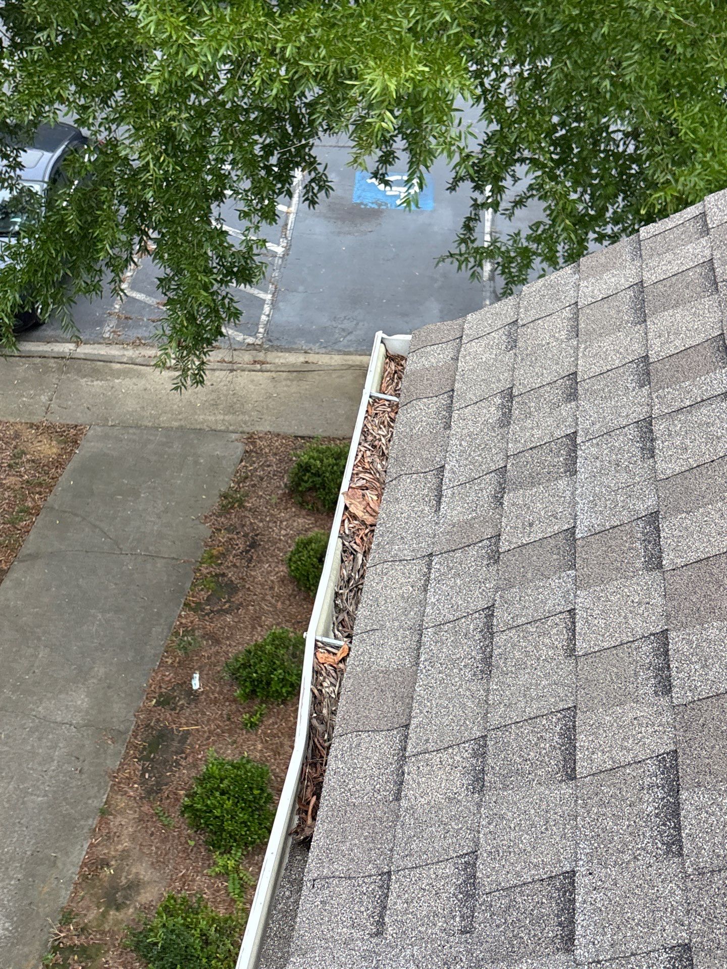 Commercial gutter cleaning Macon, GA before photo with filled gutters
