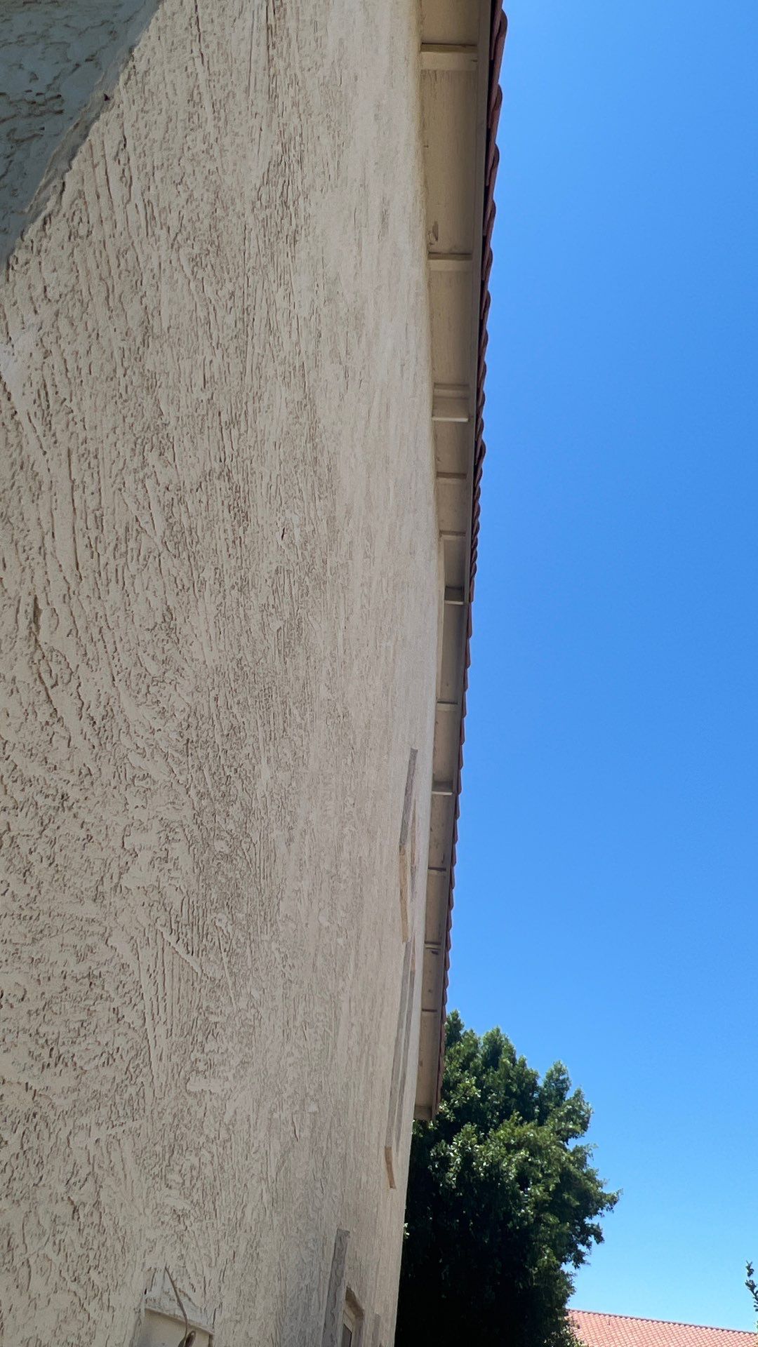 Exterior Painting using Dunn-Edwards EVERSHIELD®  by Crash of Rhinos Painting & Garage Floors