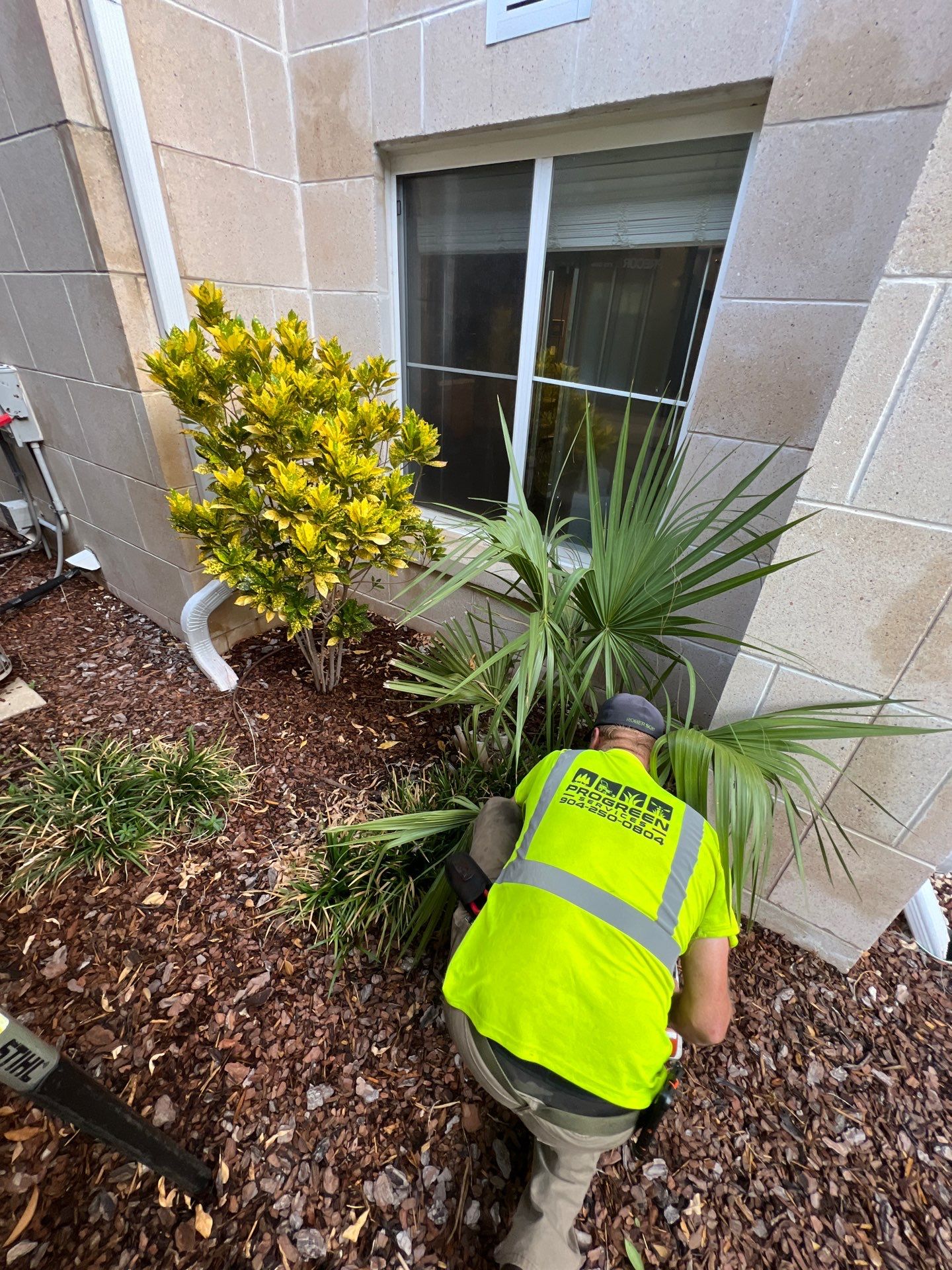 Homewood Suites | Tree Service by ProGreen Services