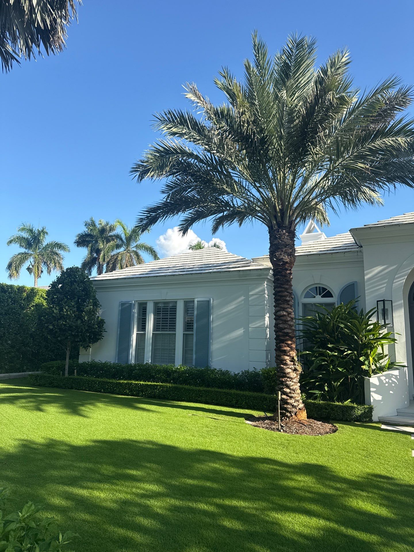 Project in Palm Beach, FL by The Decorative Surfacing Group