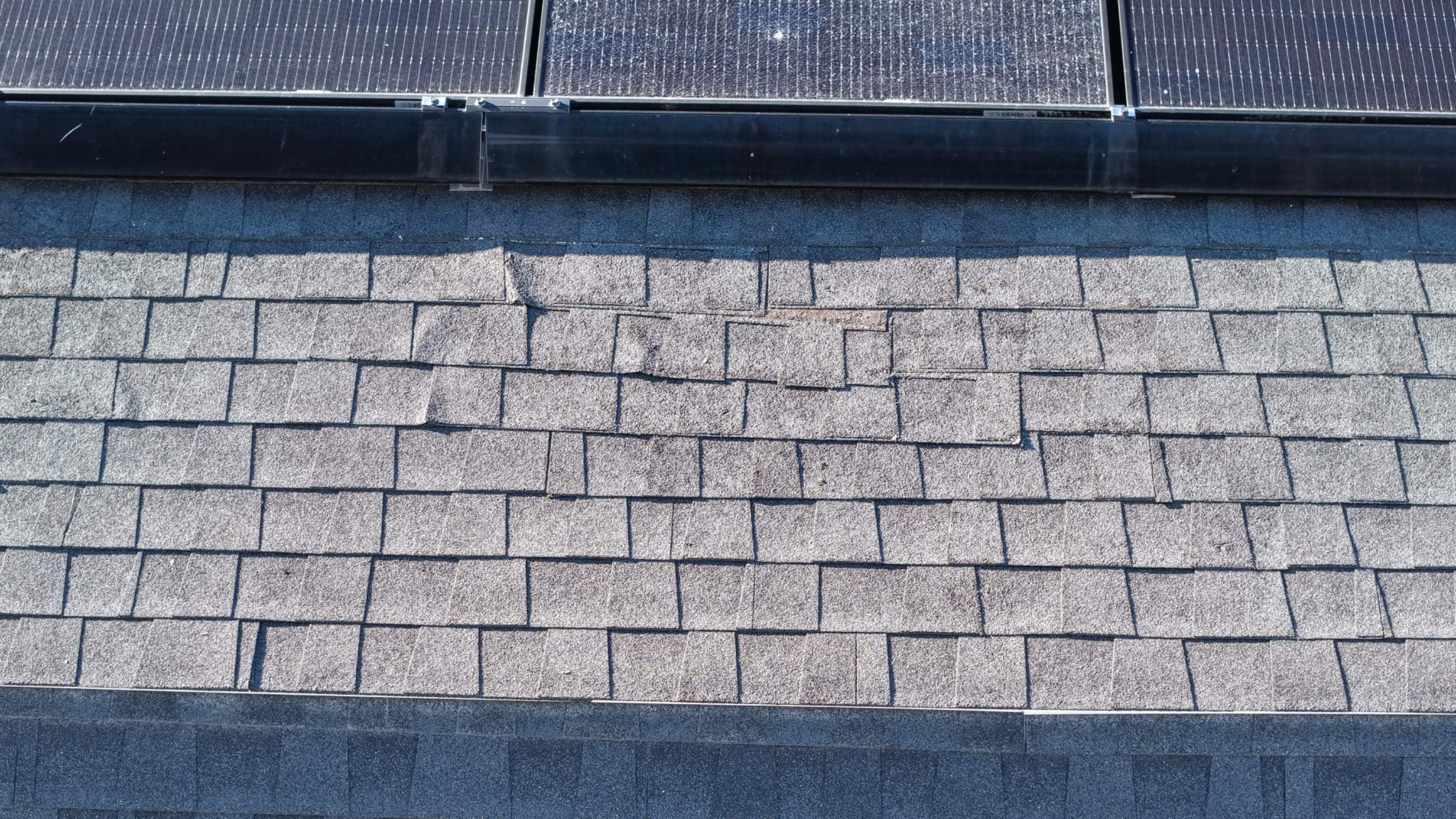 Critter Damage Repair: Ridge Vent Upgrade & Mansard Shingle Restoration by JOHNNYS PRO