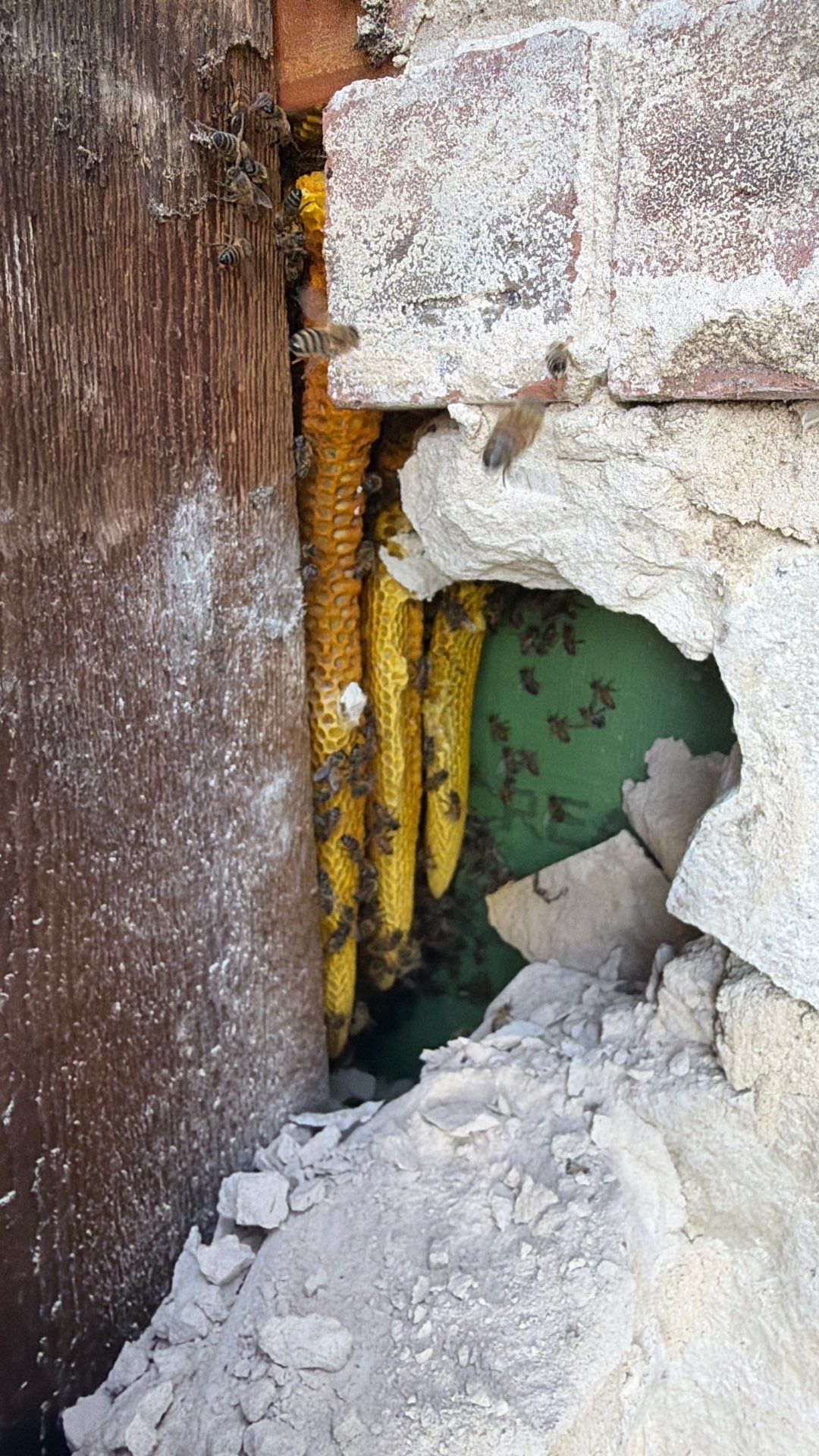 Project in Waxahachie, TX by Rockwall Honey Bee Company