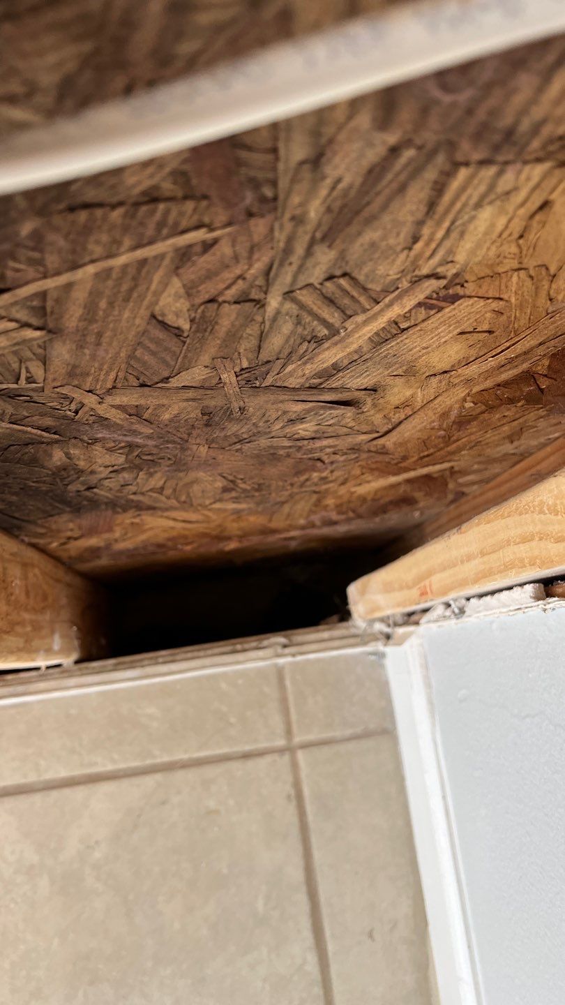 Mold Remediation  by Accountable Home Services