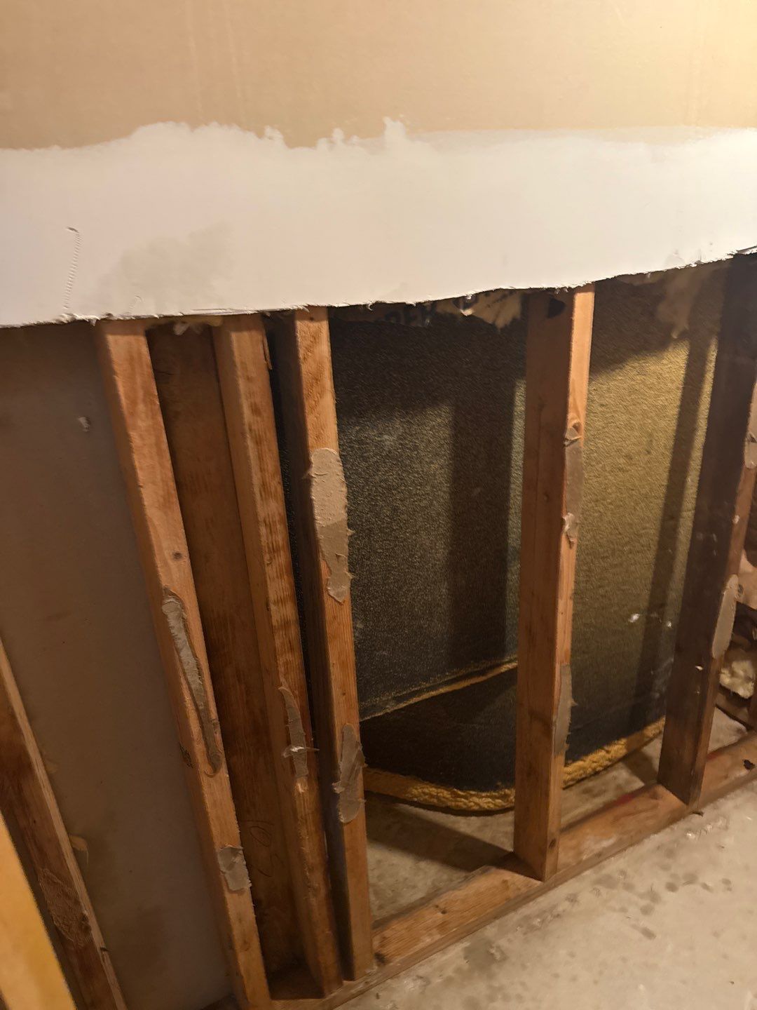 Mold Remediation & Moisture Source Discovery, Middletown, De. by Healthy Home Solutions