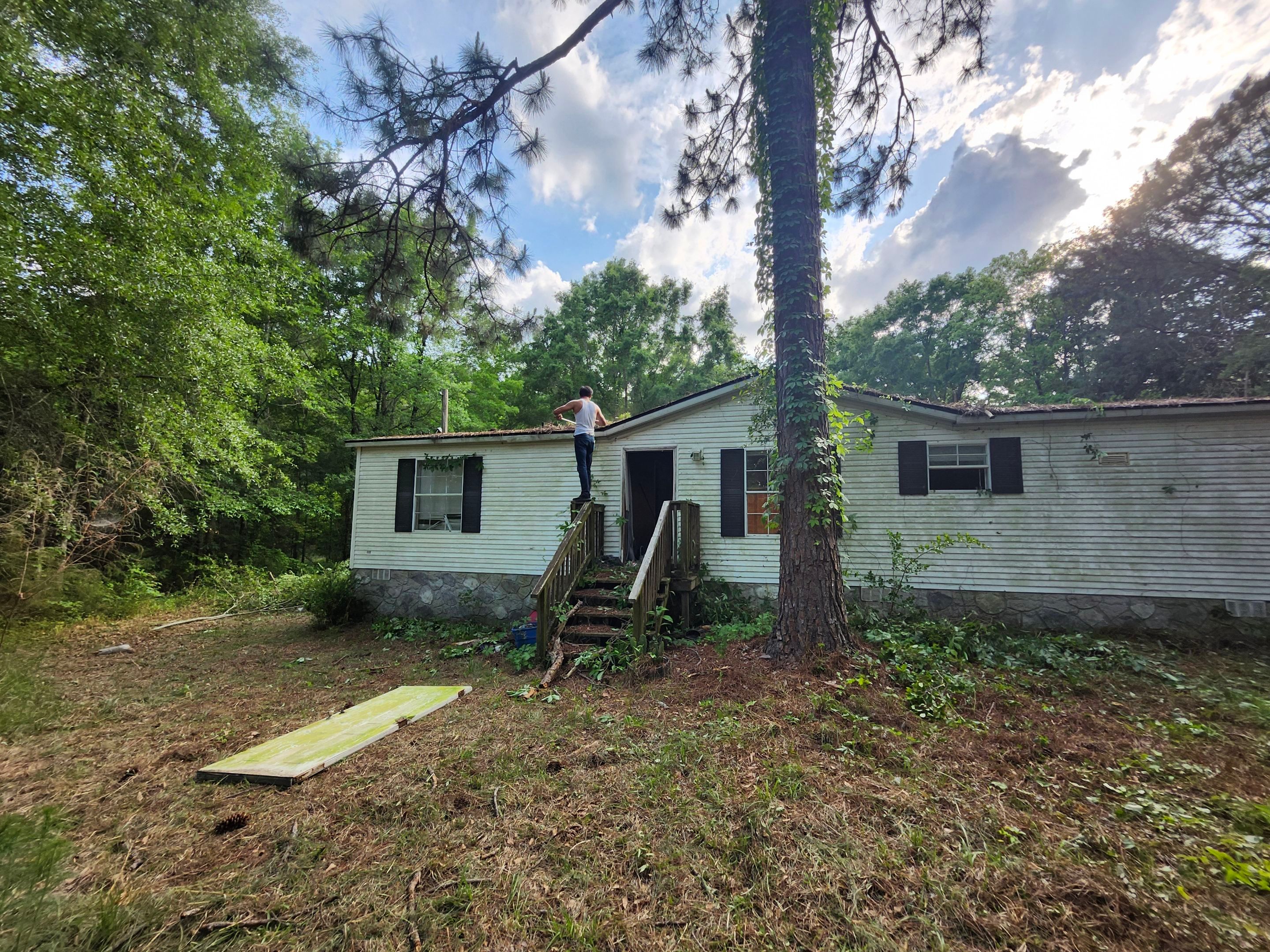Exterior Clearing - tree trimming - grass cut by Swift Signings and Services LLC