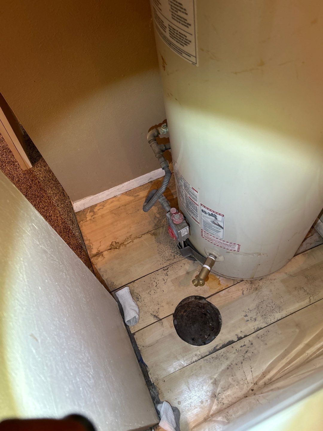 Mold Damage Project in Littleton by Accountable Home Services