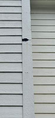 Project in Jonesboro